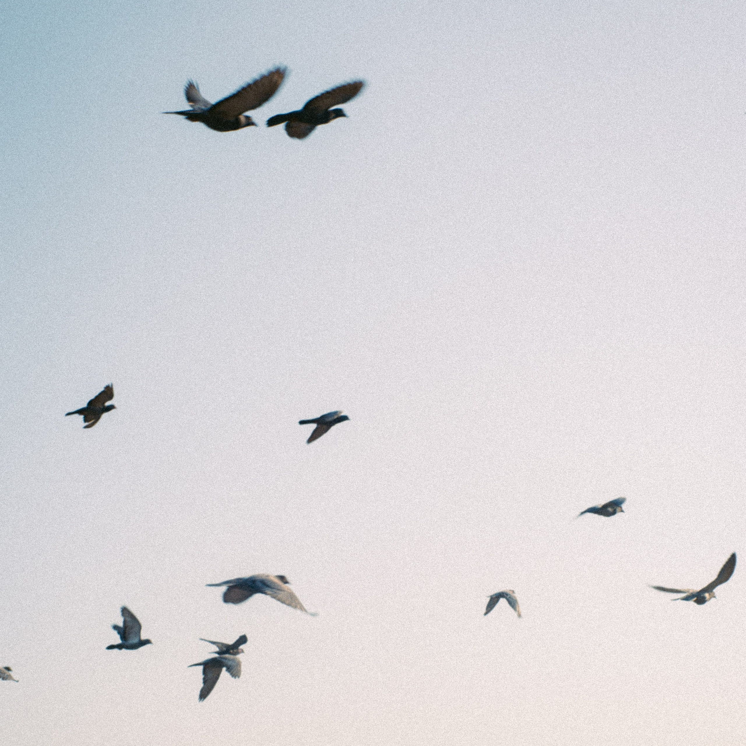Фотограф Ройтман Валерия. Санкт-Петербург (приеду в любой город)