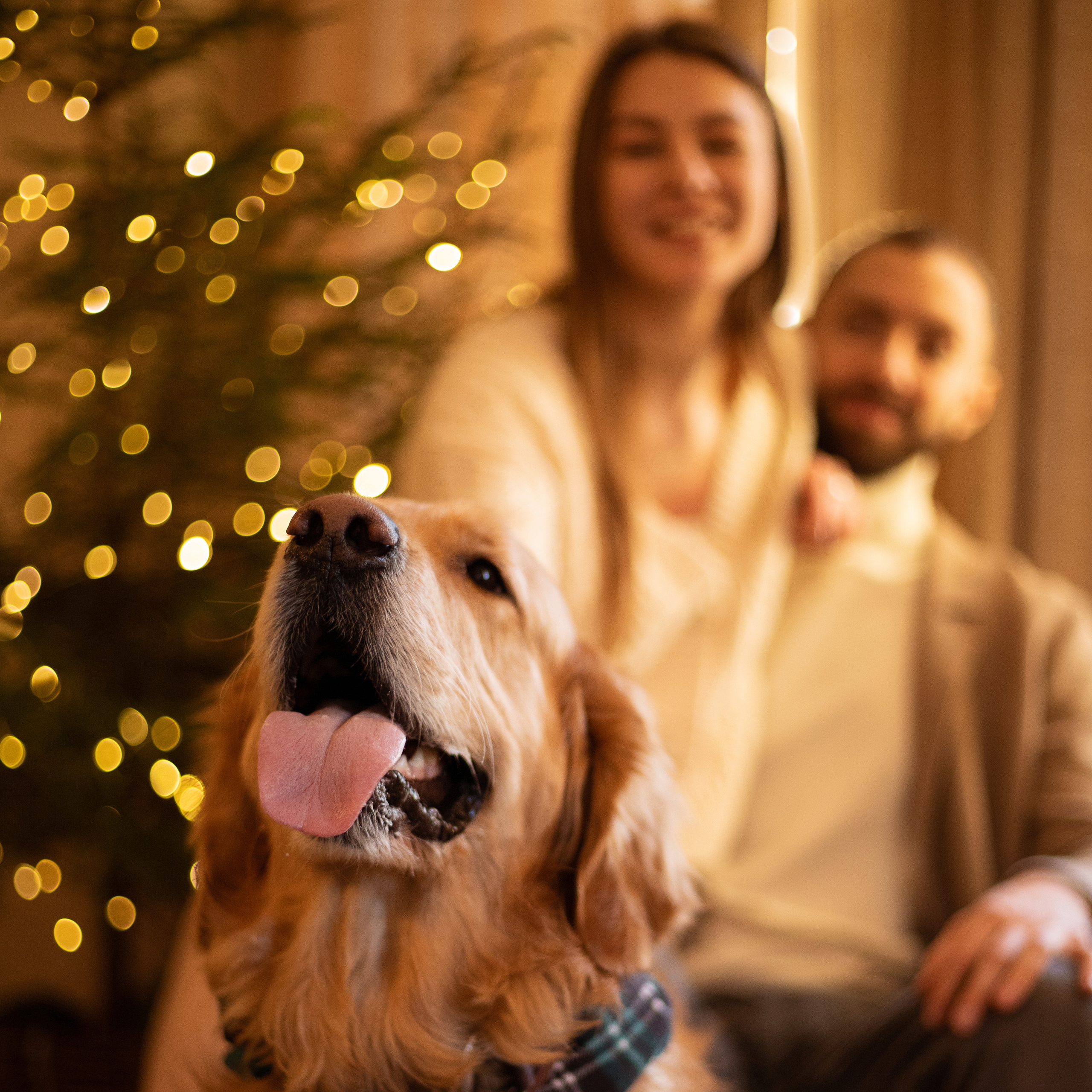 Атмосферная фотосъёмка в Омске!