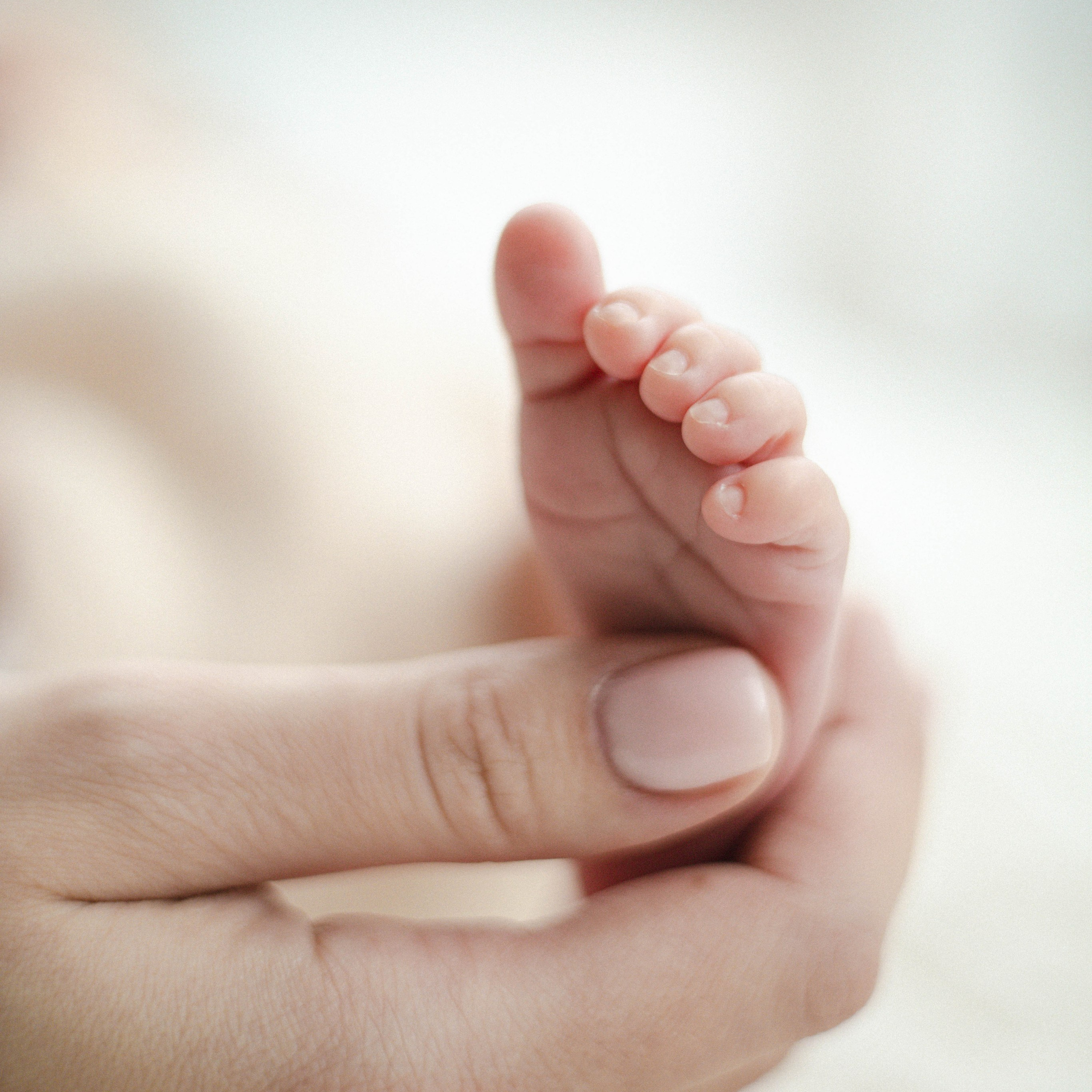 Услуги. Семейный и детский фотограф в Ростове-на-Дону Удалова Лина