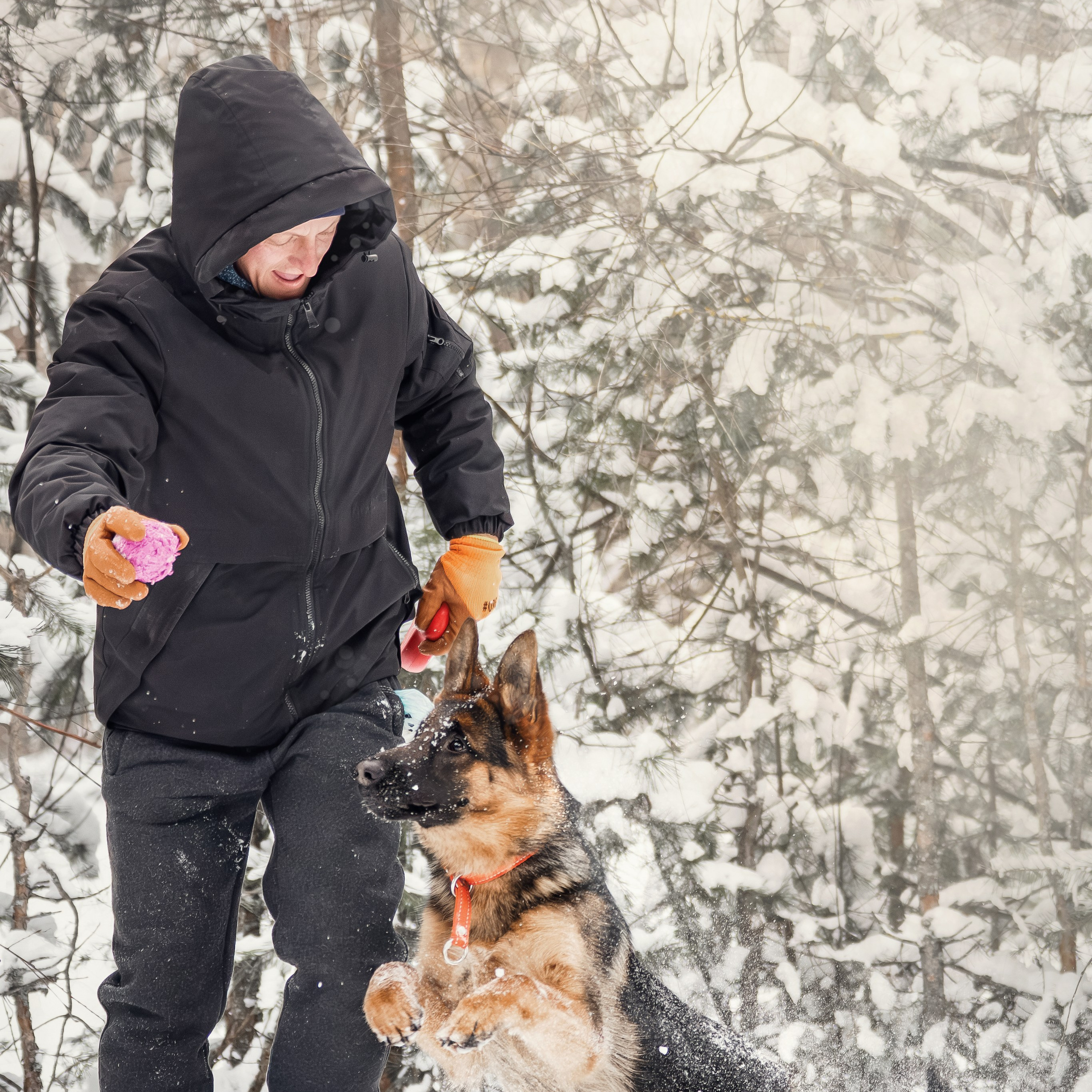 Услуги. Фотограф-анималист Нижний Новгород