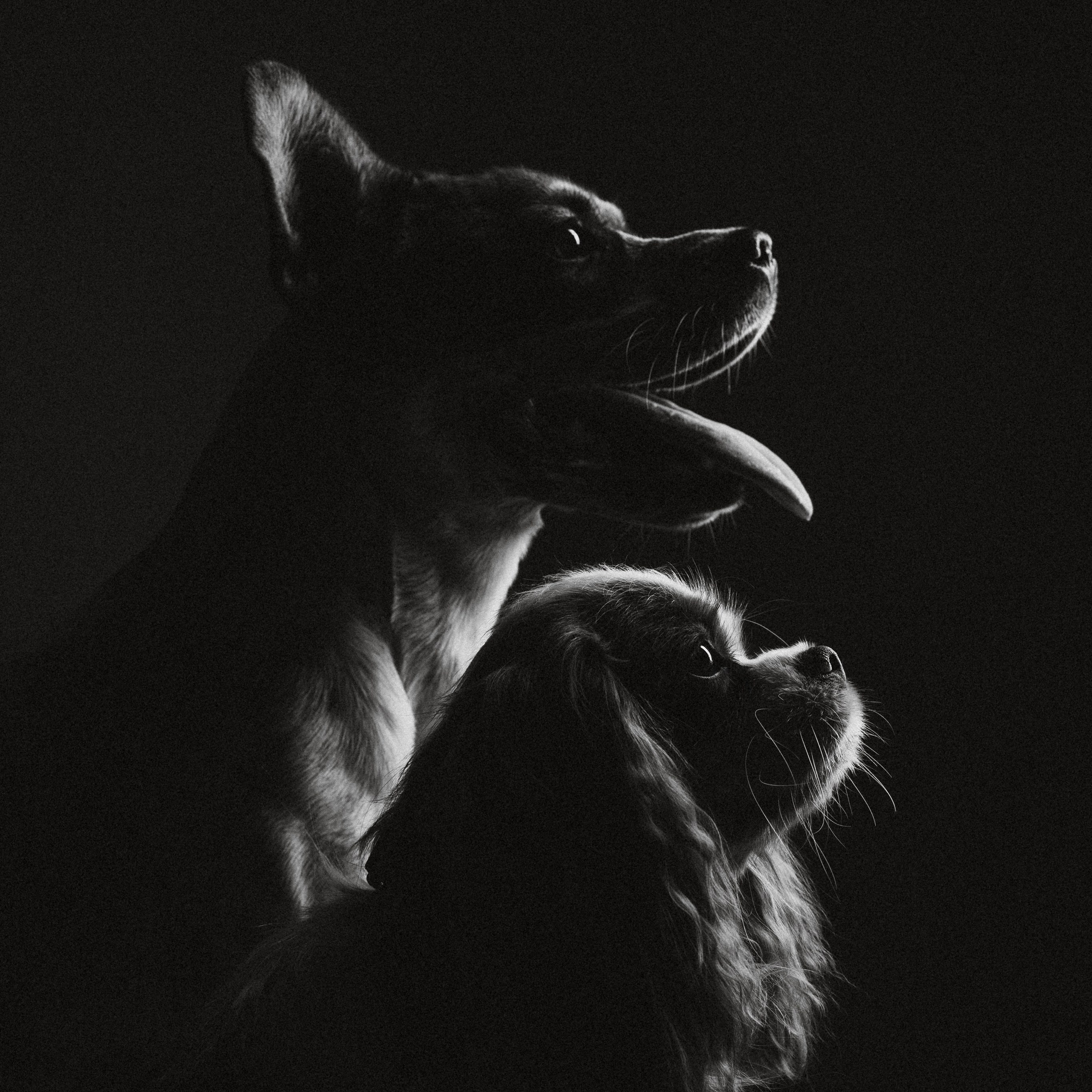 Воркшоп по импульсному свету