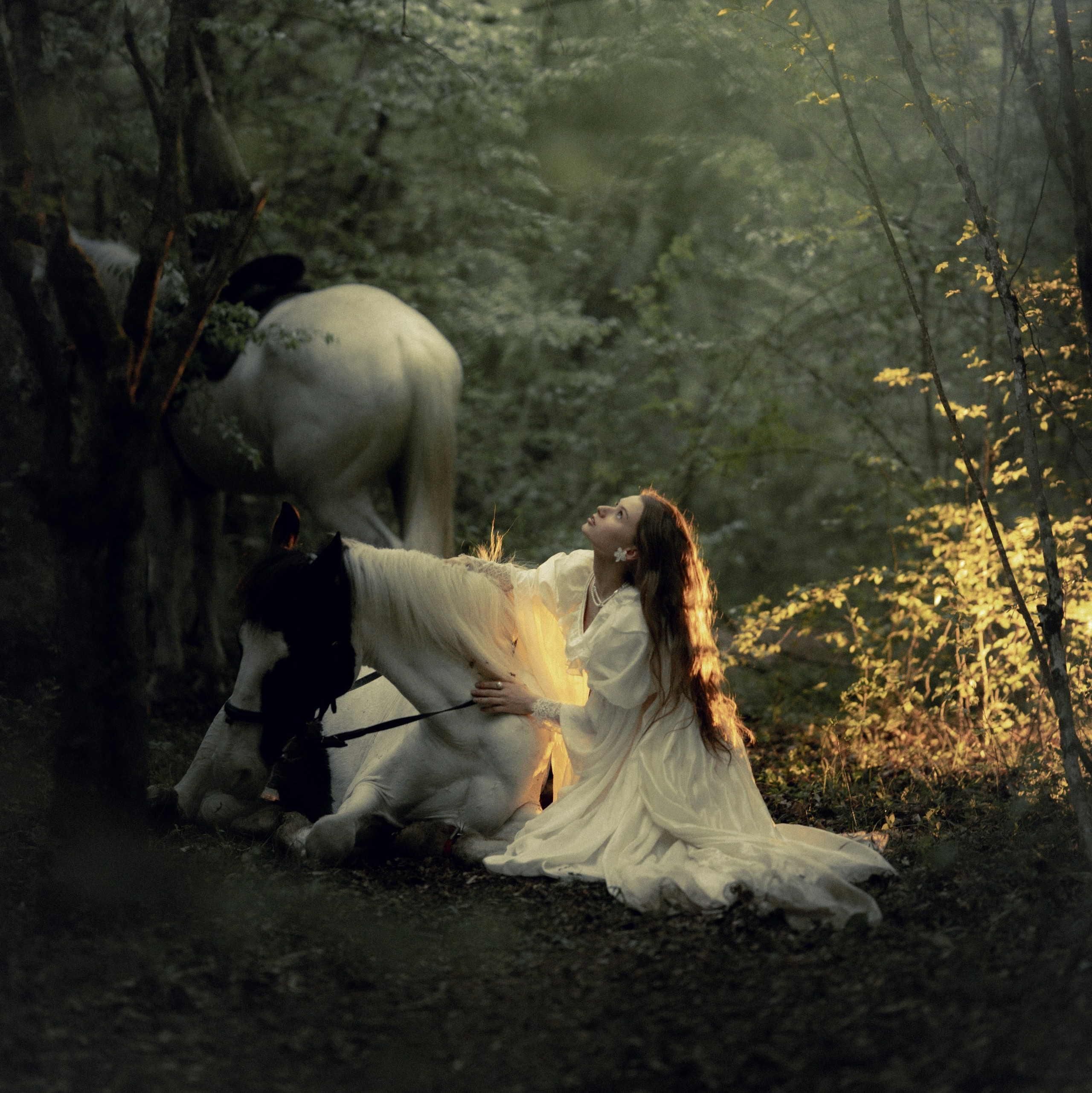 Условия и стоимость. Индира Фотограф Санкт-Петербург