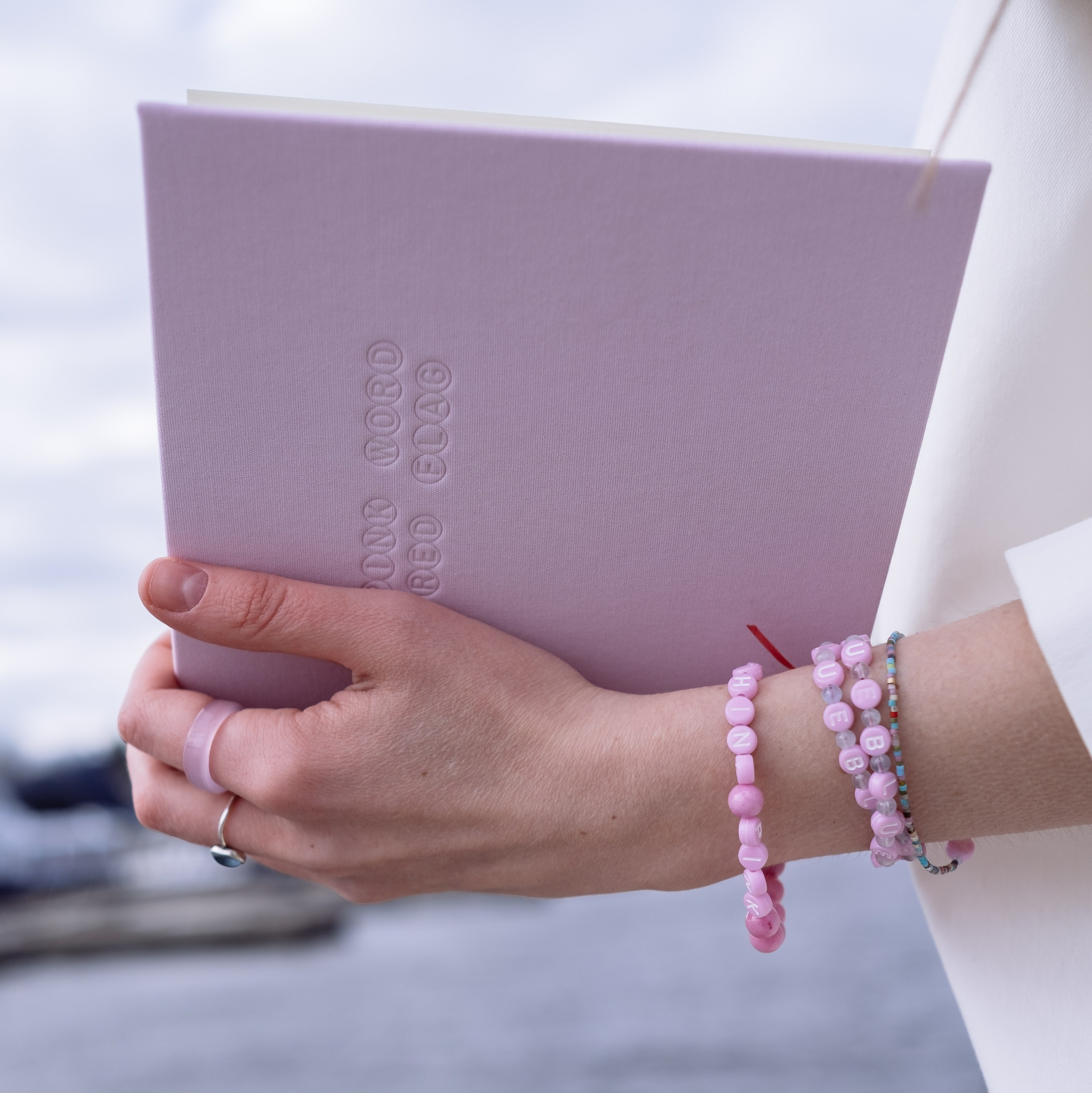 КНИГА ХУДОЖНИКА PINK WORD RED FLAG. Бюро Индульгенции Серафима Бучинская продюсер дизайнер художница СПб