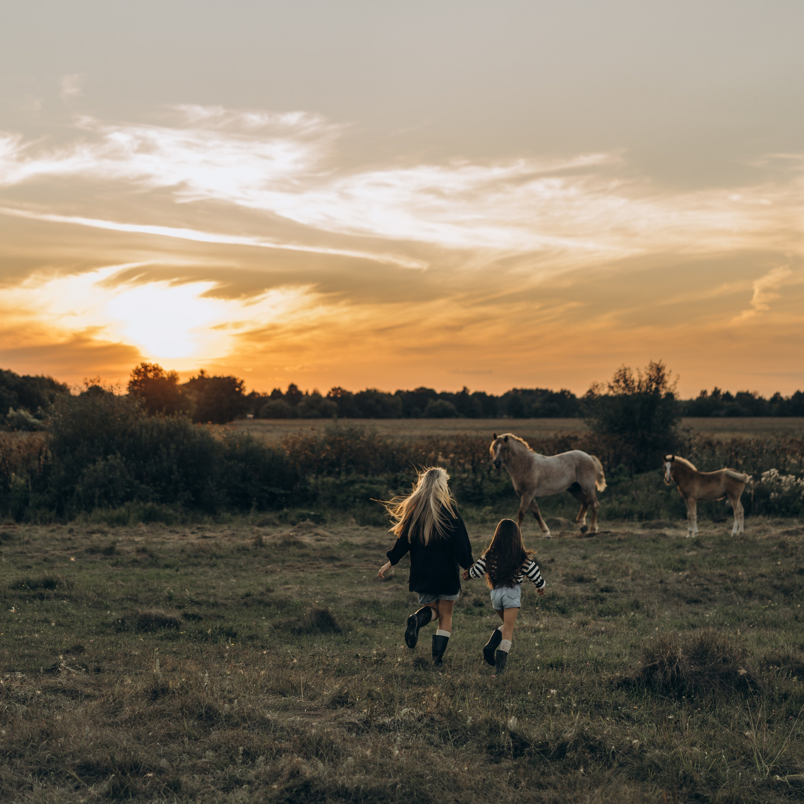 Цены. Семейный фотограф Москва. Фотограф беременности и материнства Москва