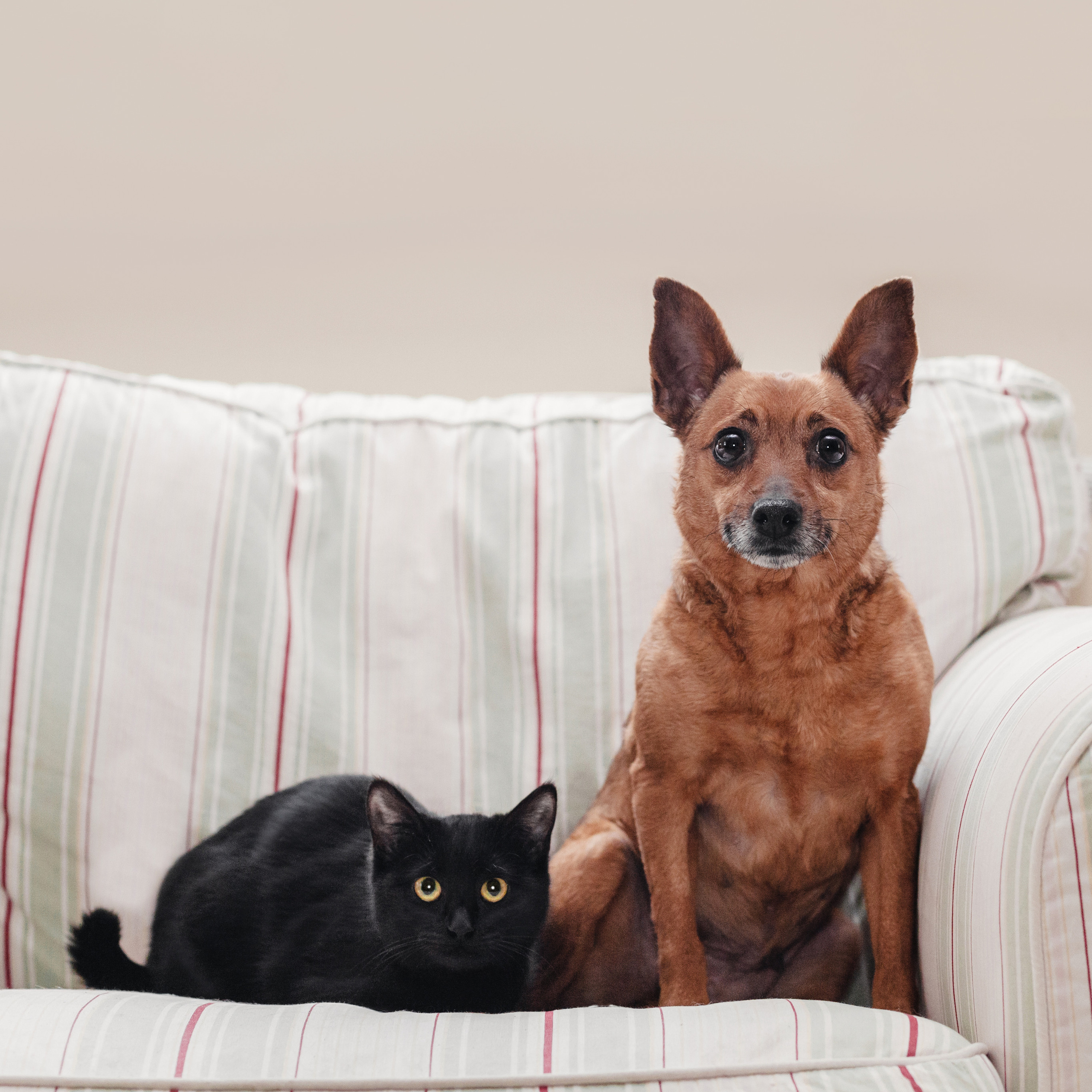 Фотограф-анималист Татьяна Степанова