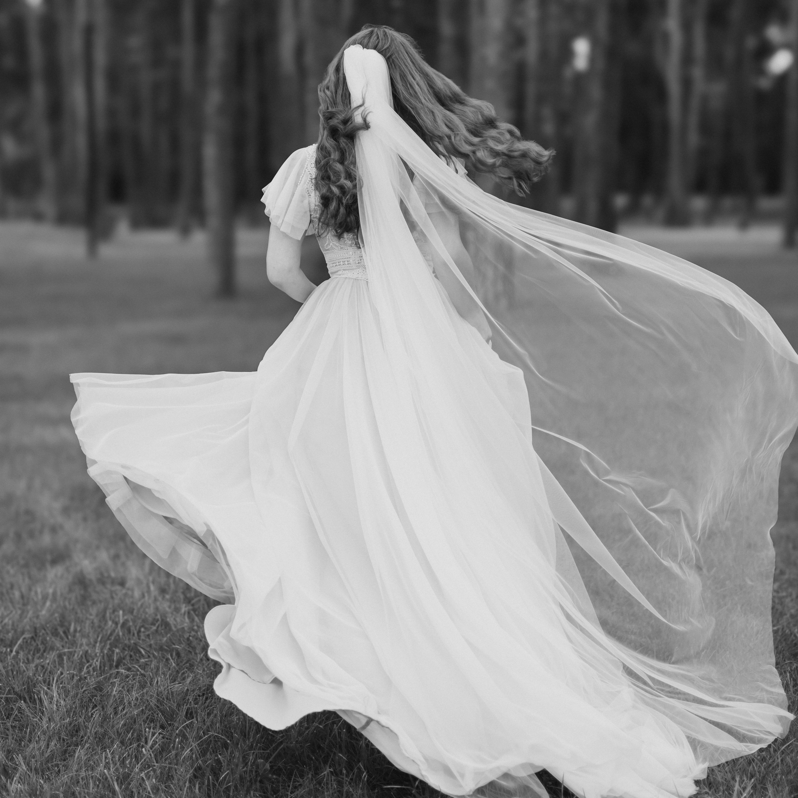 Стоимость всех видов съемок. Свадебный фотограф Абакан | Хакасия Никита Бережной