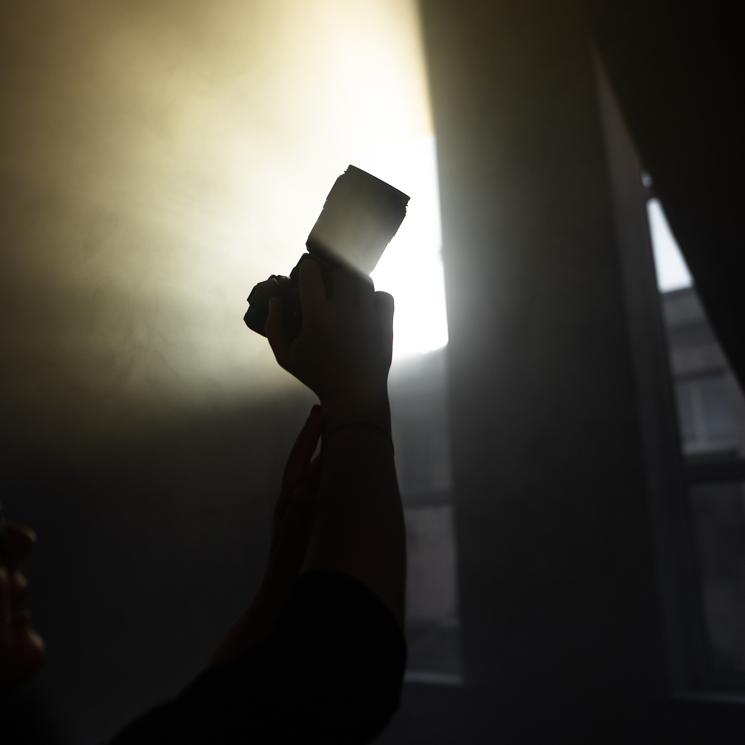 Обучение. Фотограф Светлана Васильева