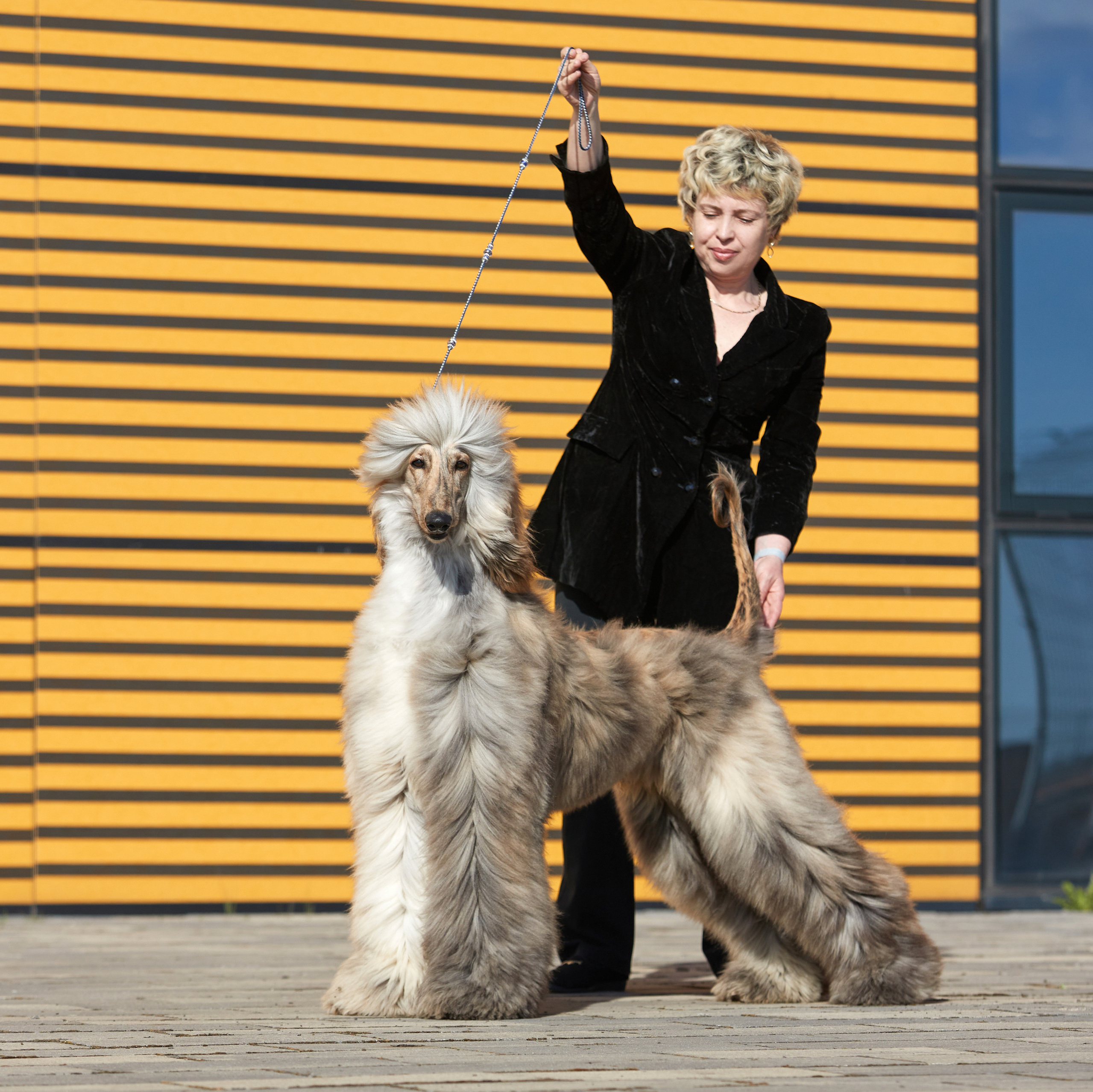 ФОТО ВЫСТАВКИ. ФОТОГРАФ-АНИМАЛИСТ l LANA POLYAKOVA