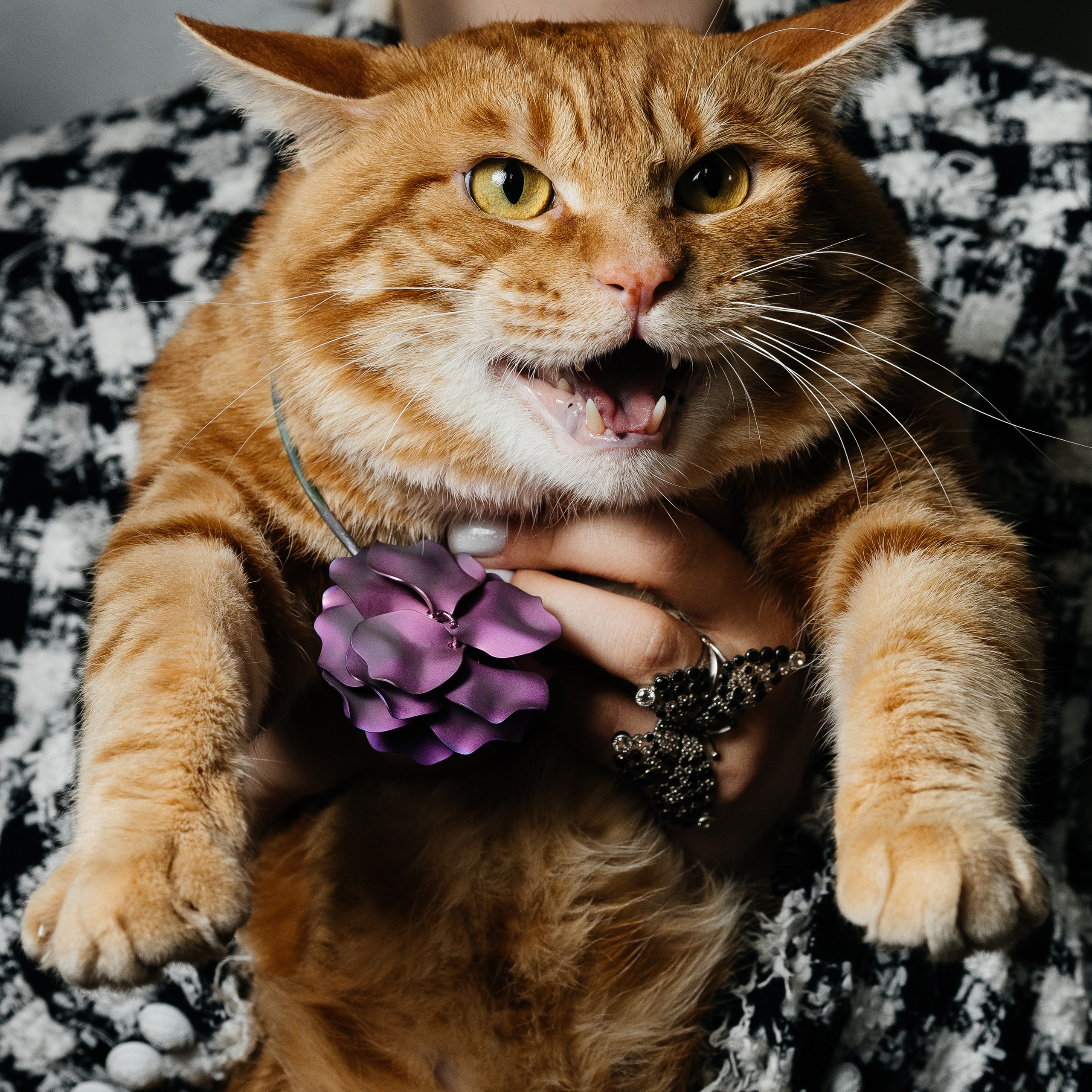 Коммерческий фотограф в Санкт-Петербурге Анна Кобзарь