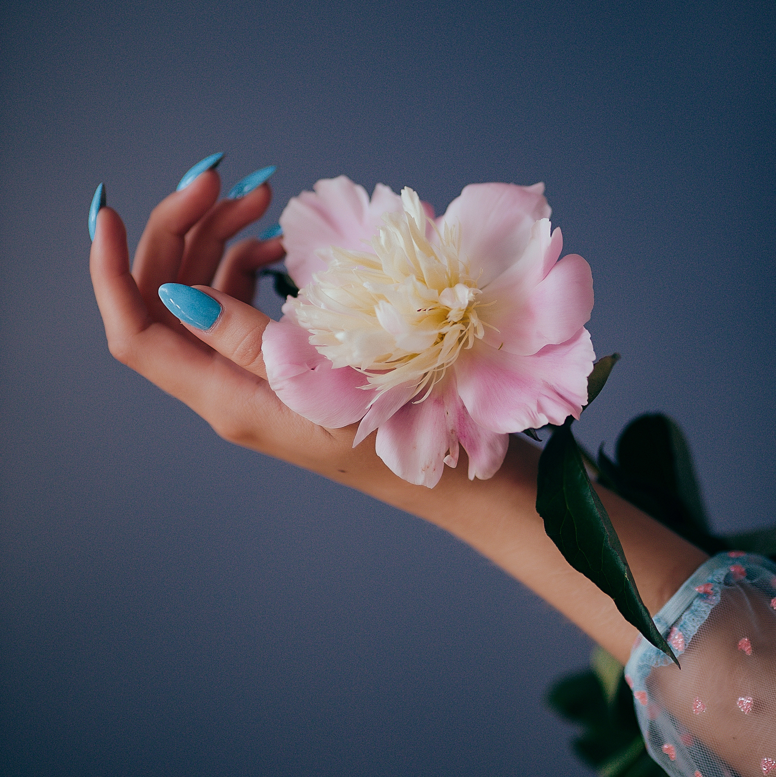 Женский семейный фотограф Барнаул Евгения Власова