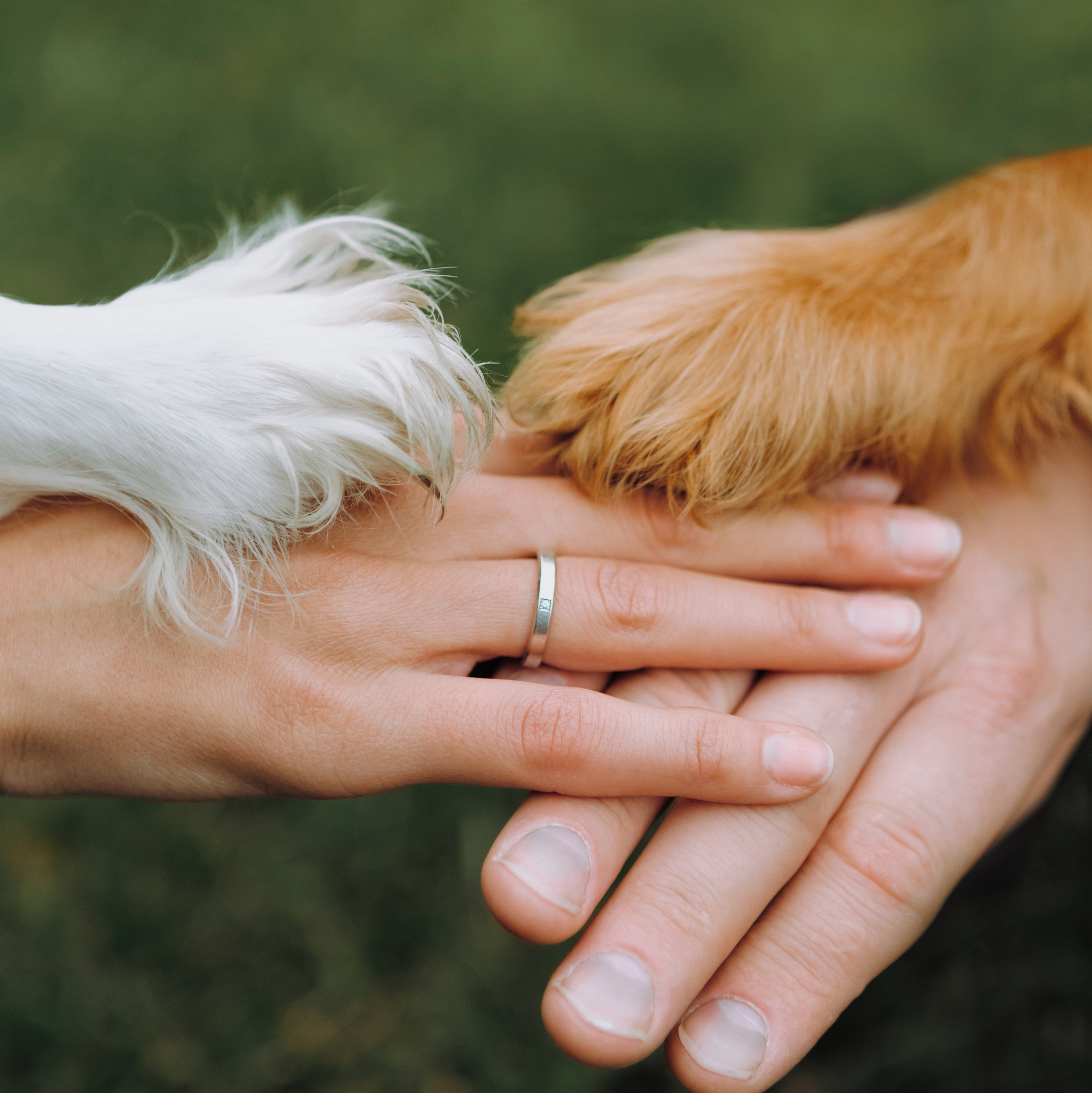 Портретный фотограф в Москве Анастасия