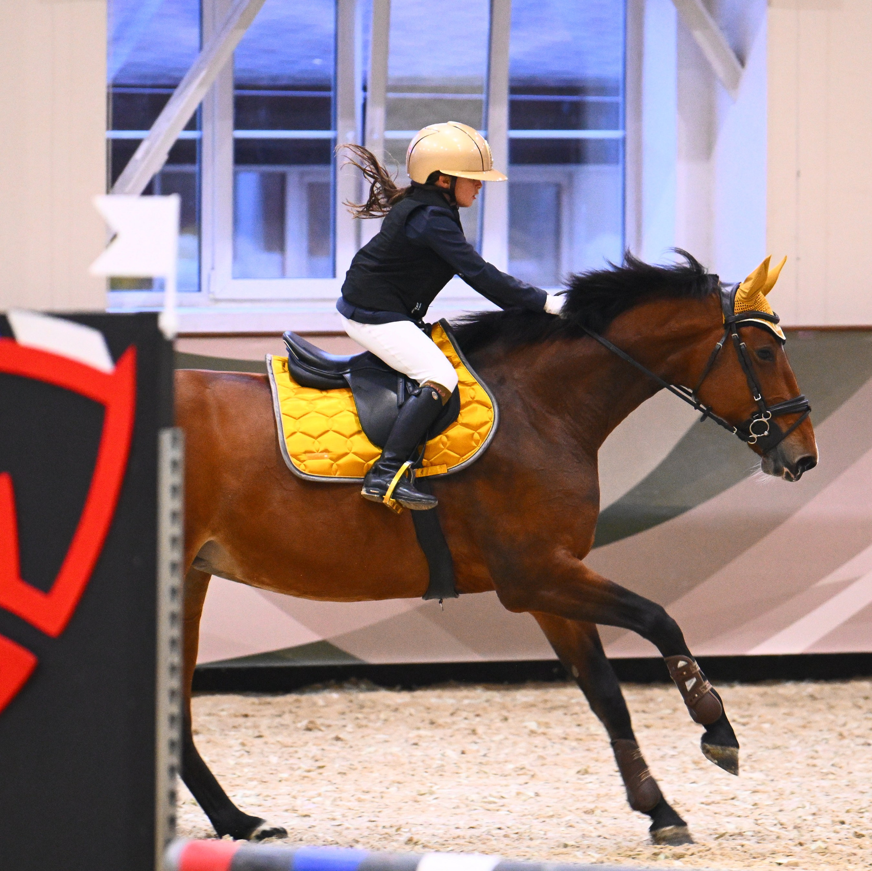 2025.10.25 — КСК Виват, Россия!. ТУРНИРНАЯ КОННАЯ ФОТОГРАФИЯ, Руднева Ольга и Евгений Адеев