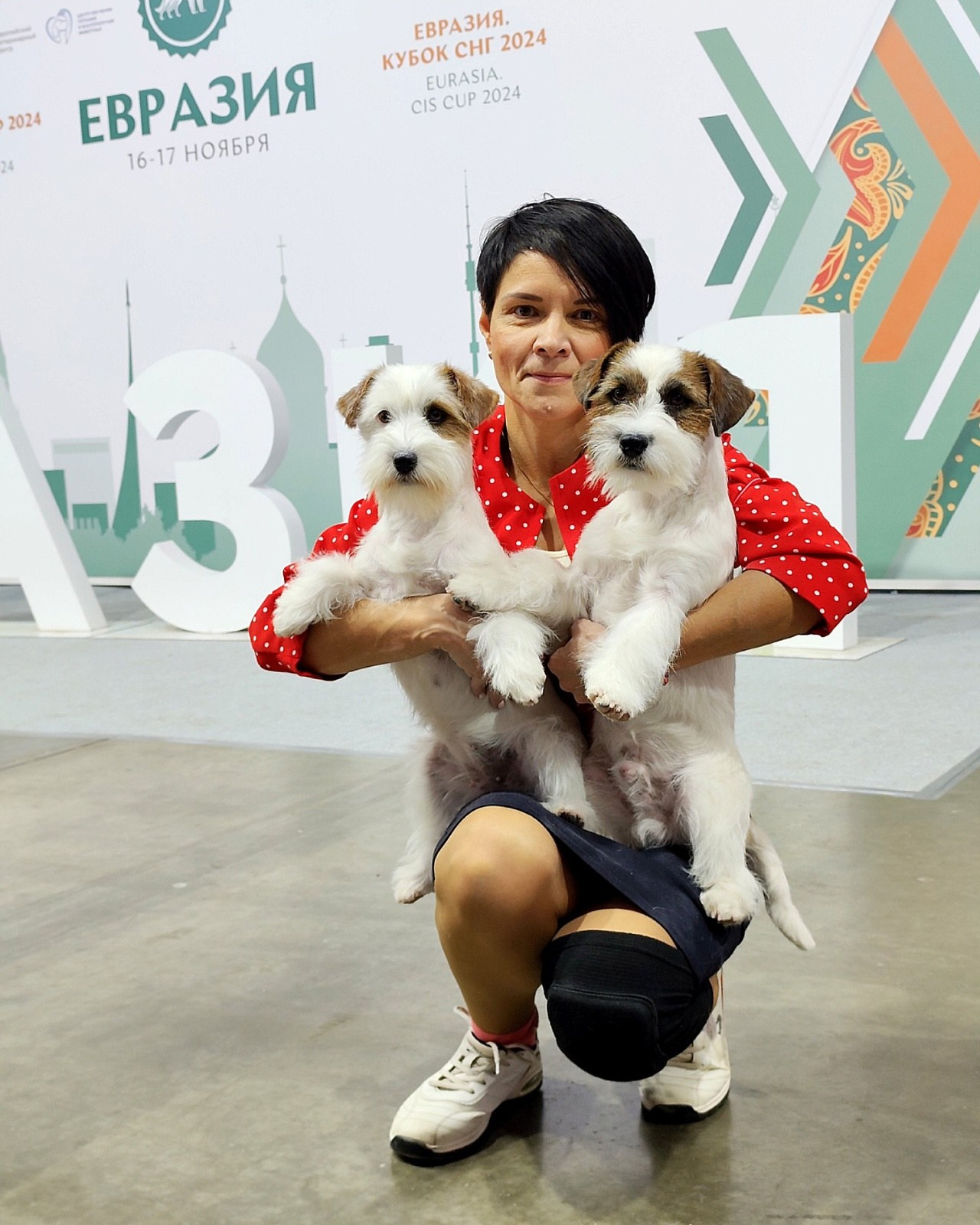 Евразия-2024. Кубок Президента. CANE MAESTRO — kennel Jack Russell Terrier