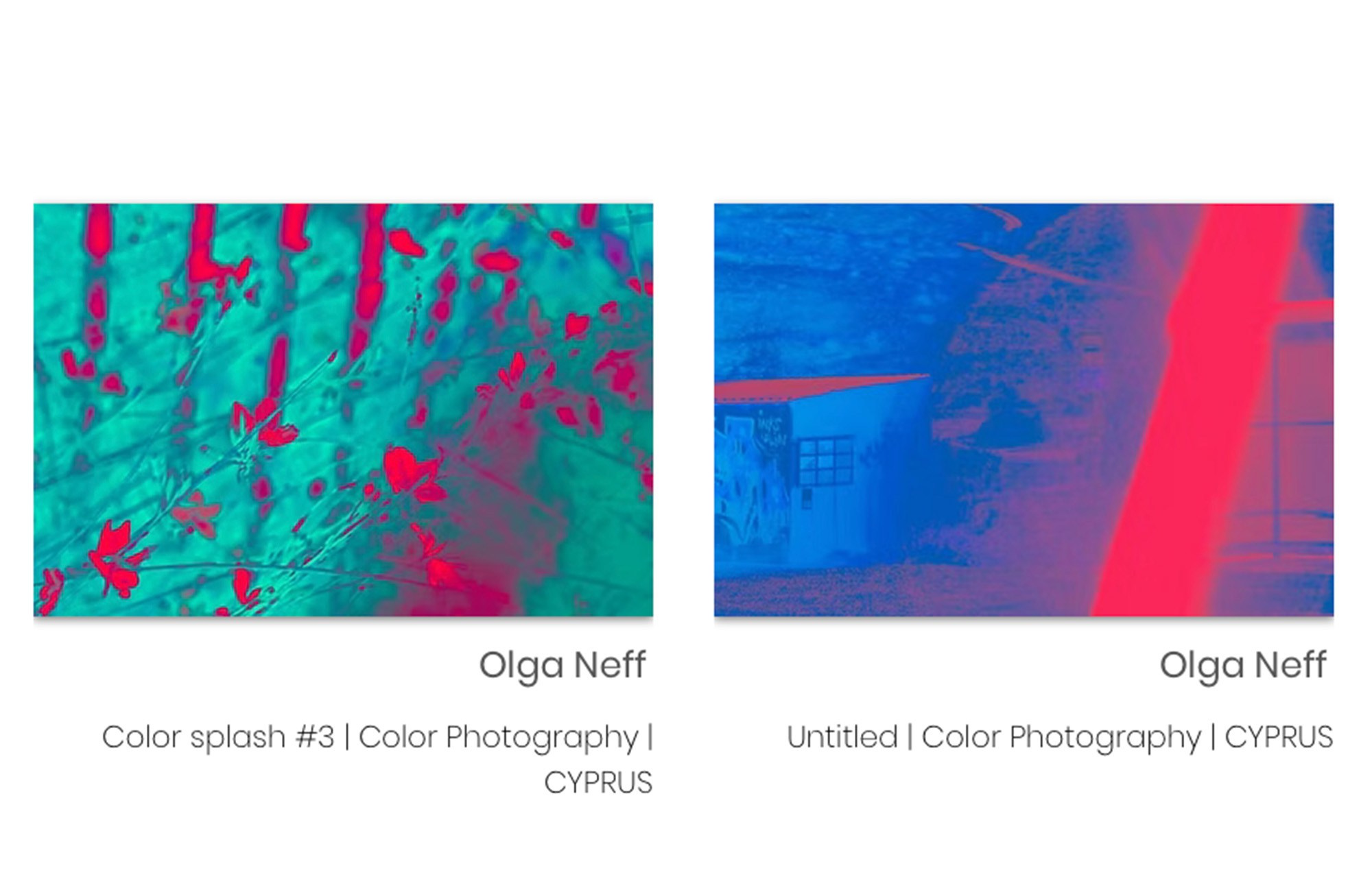 EXHIBITIONS. OLGA NEFF. Artist. Visual, Music, Poesy