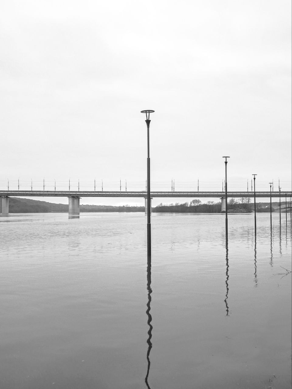 Голосование. Калужский городской фотоконкурс