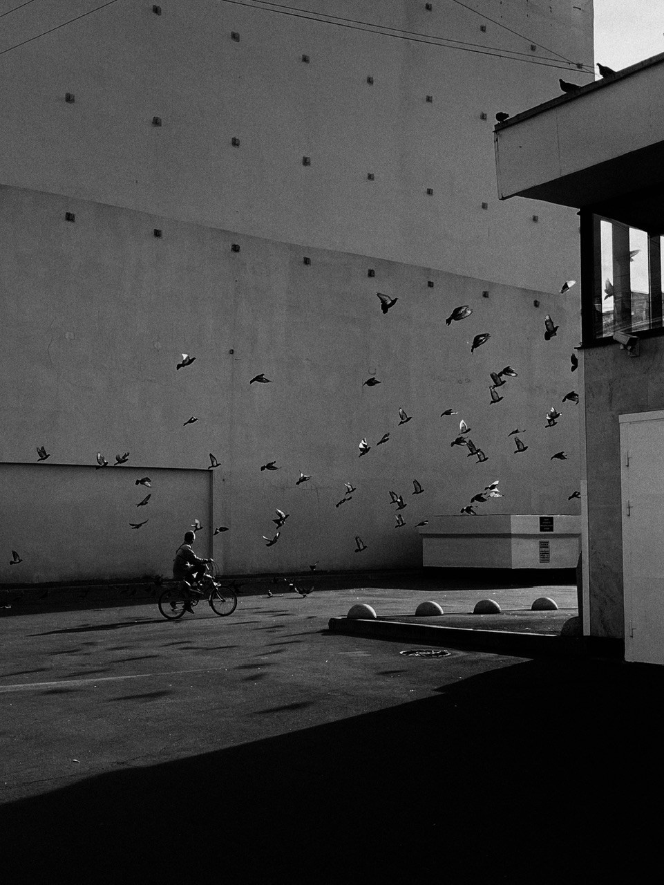 Резниченко Дарья. Организация фотовыставок в Петербурге и Москве, MFamilia (МФамилия)