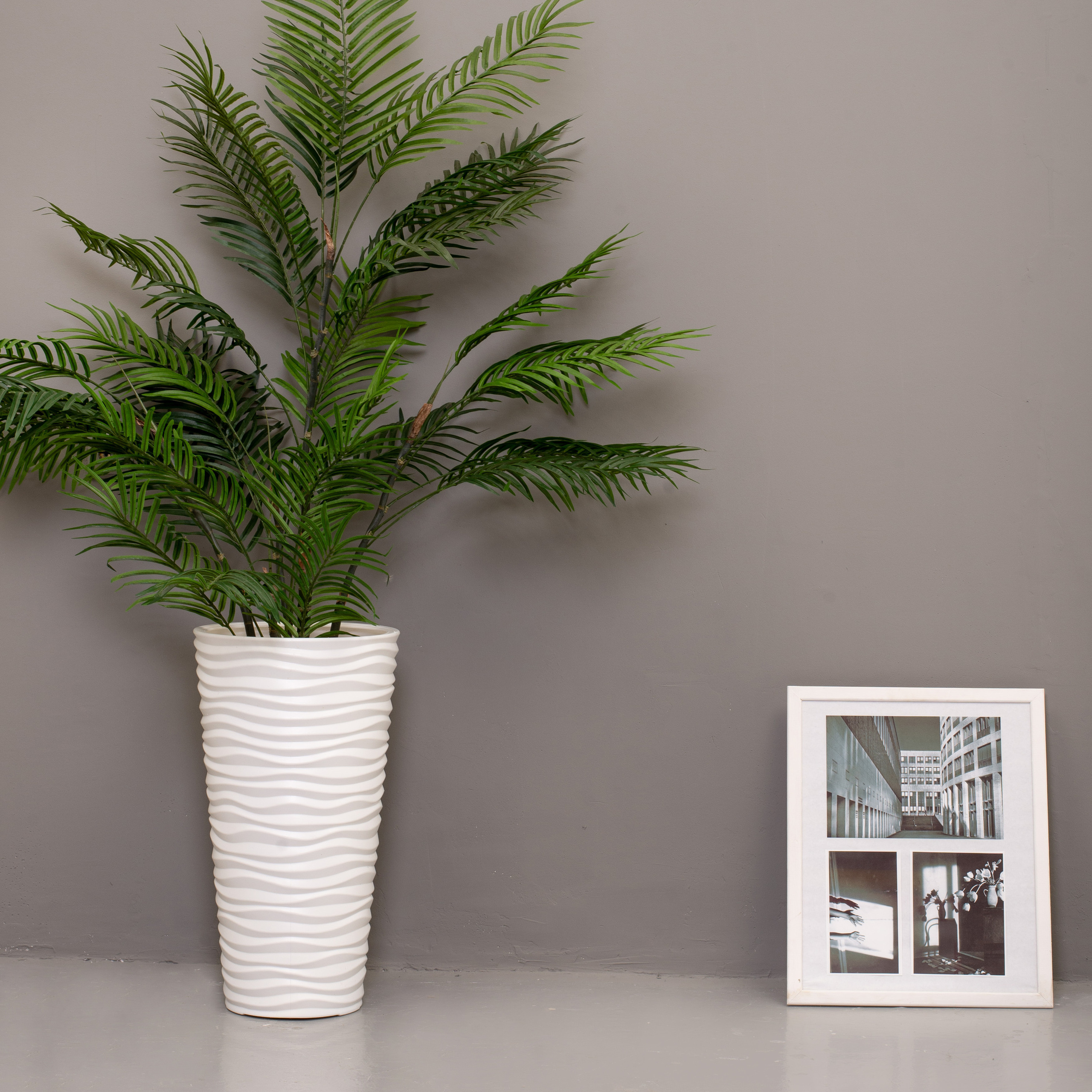 Главная. Фотостудия для маркетплейсов TM-lab