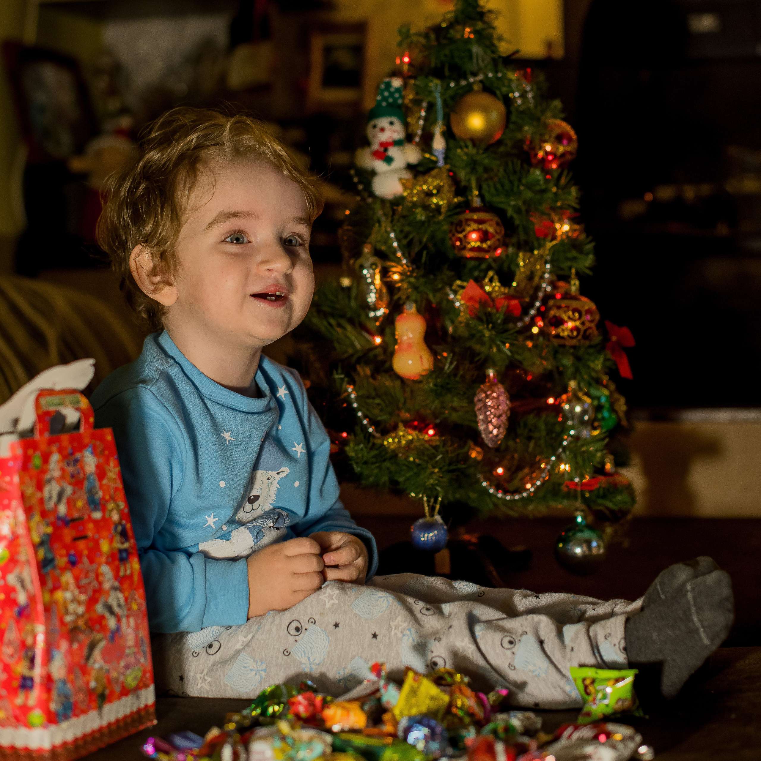 Новогодняя фотосессия у Вас дома. Свадебный и семейный фотограф Ольга Астрейко