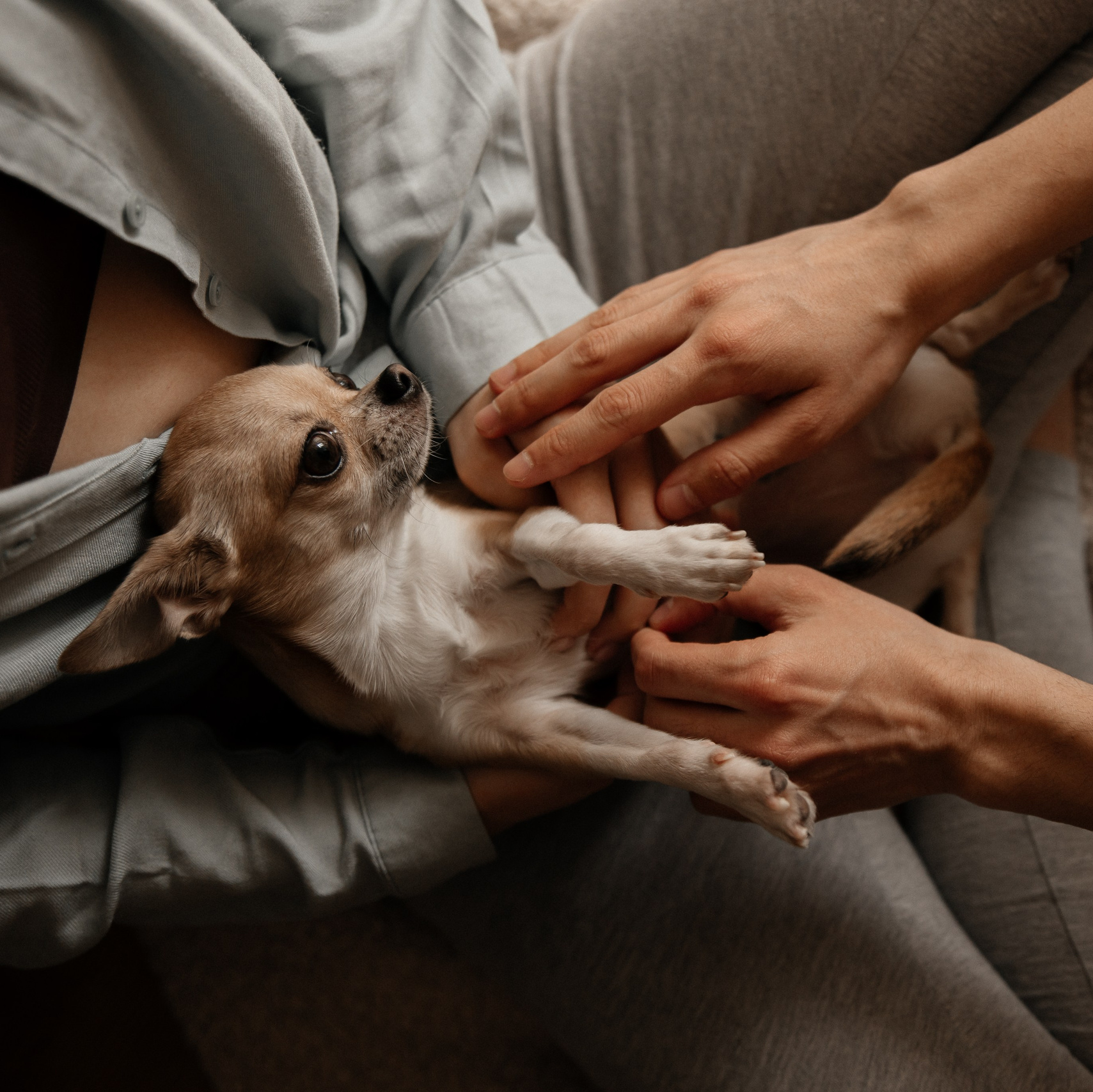 Фотограф — анималист Владивосток, Алина