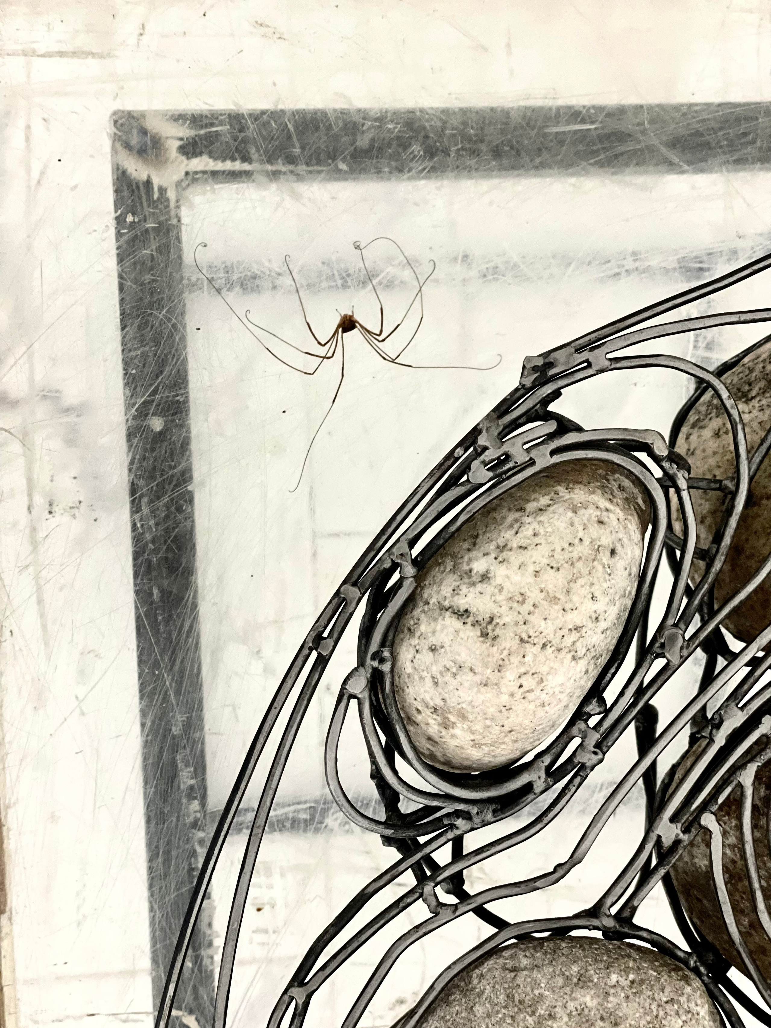 Проявления _2024. Художник — скульптор Антонина Фатхуллина