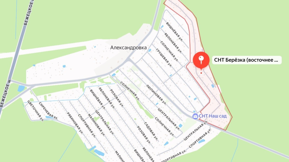 Дер. Александровка. Фотограф Ксения Монахова