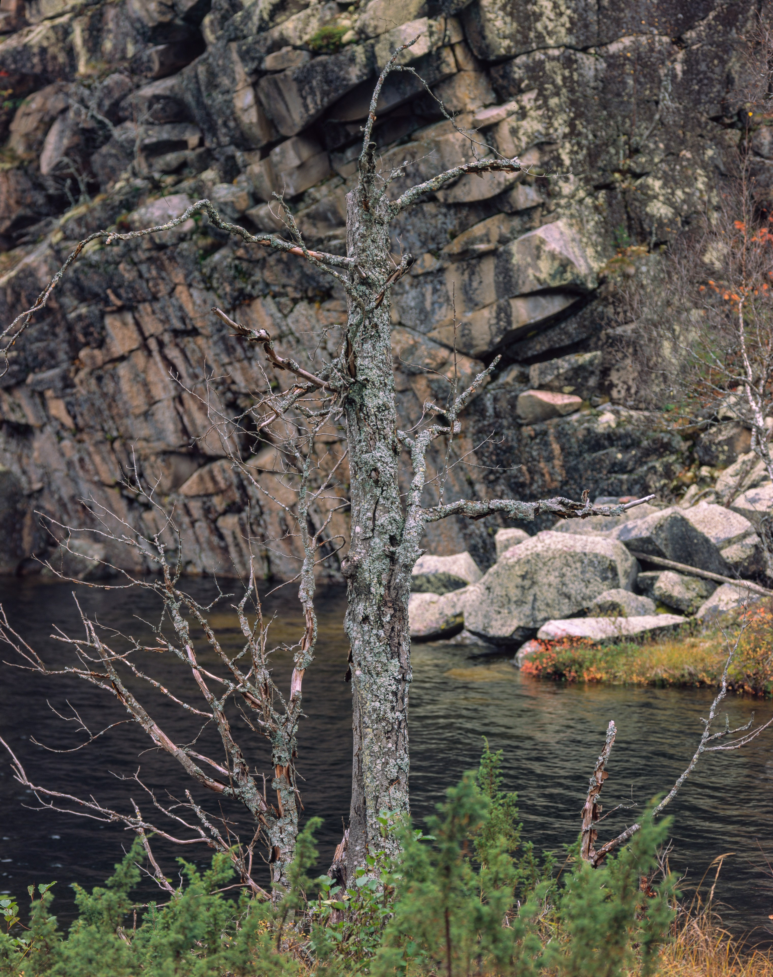 A remarkable day. Northern Nights