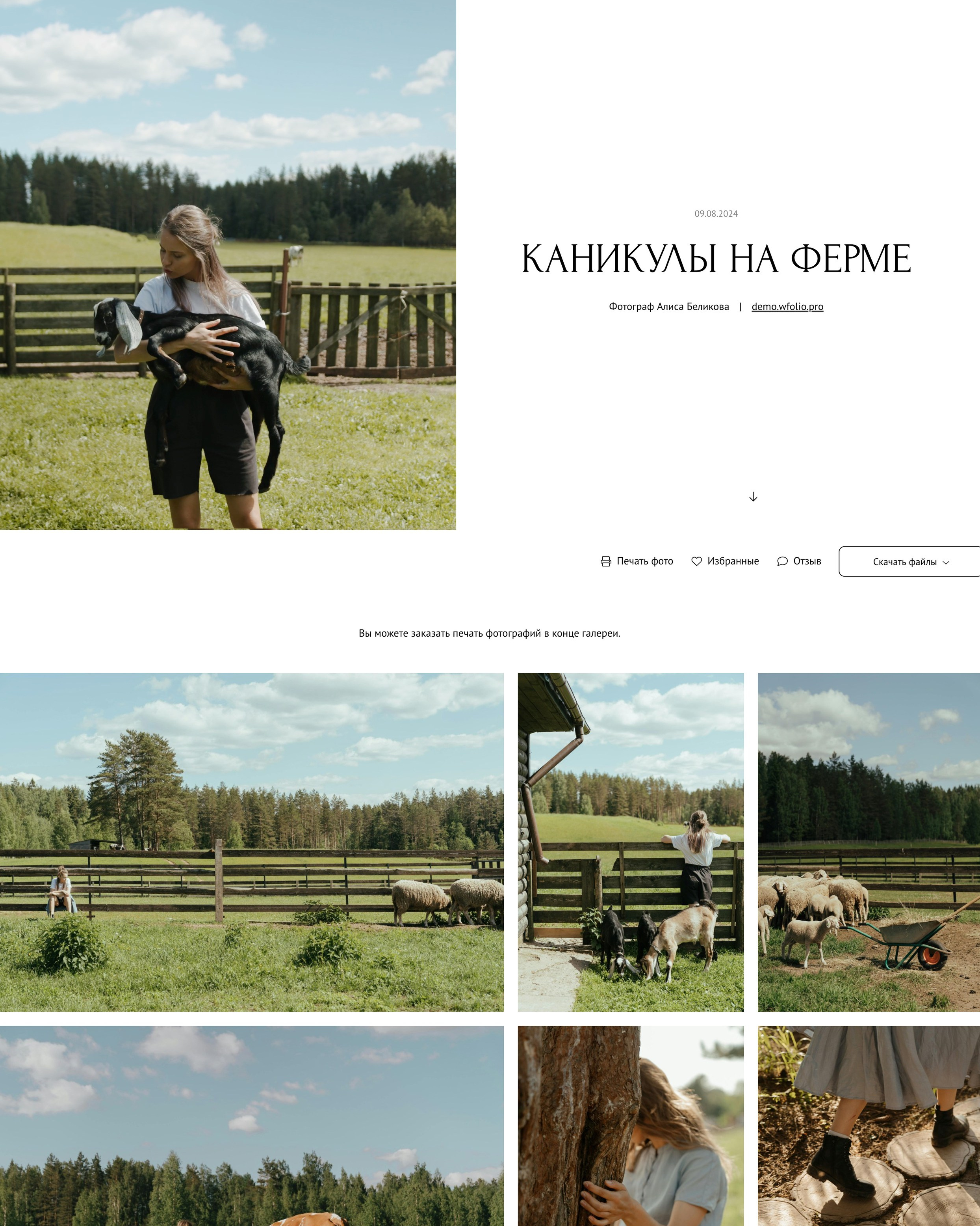 Примеры галерей со снимками природы на диске Wfolio