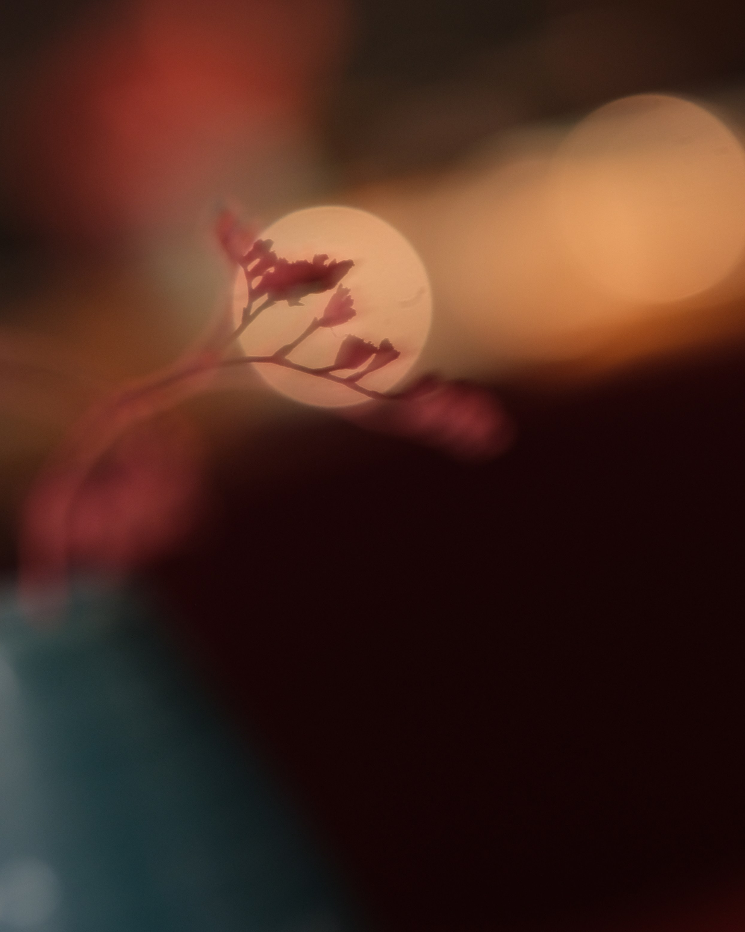 Николаева Татьяна. ARTEXPOPHOTO