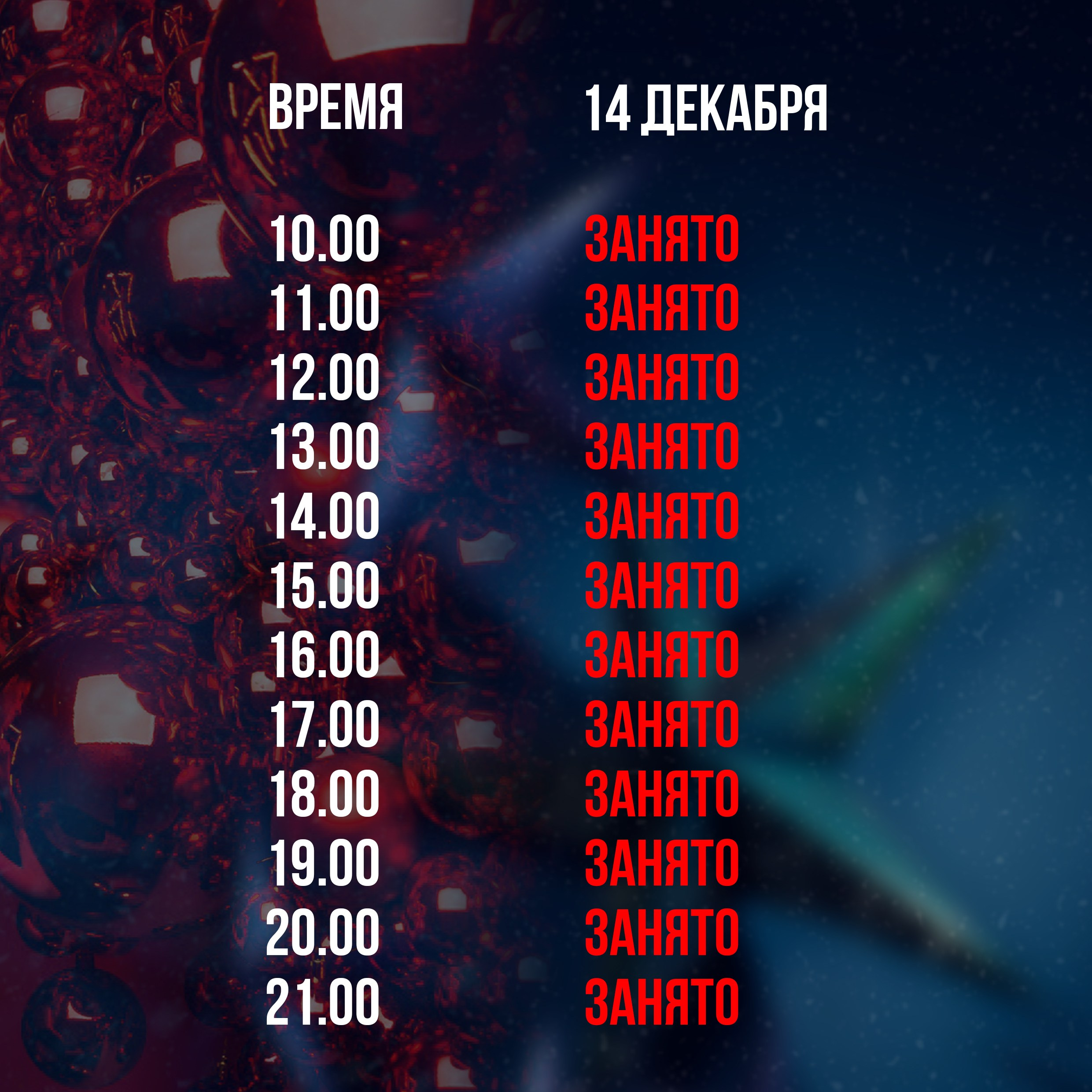 Новогодние фотосессии в студии 24. Свадебный фотограф Никитин Дмитрий Раменское Жуковский Москва