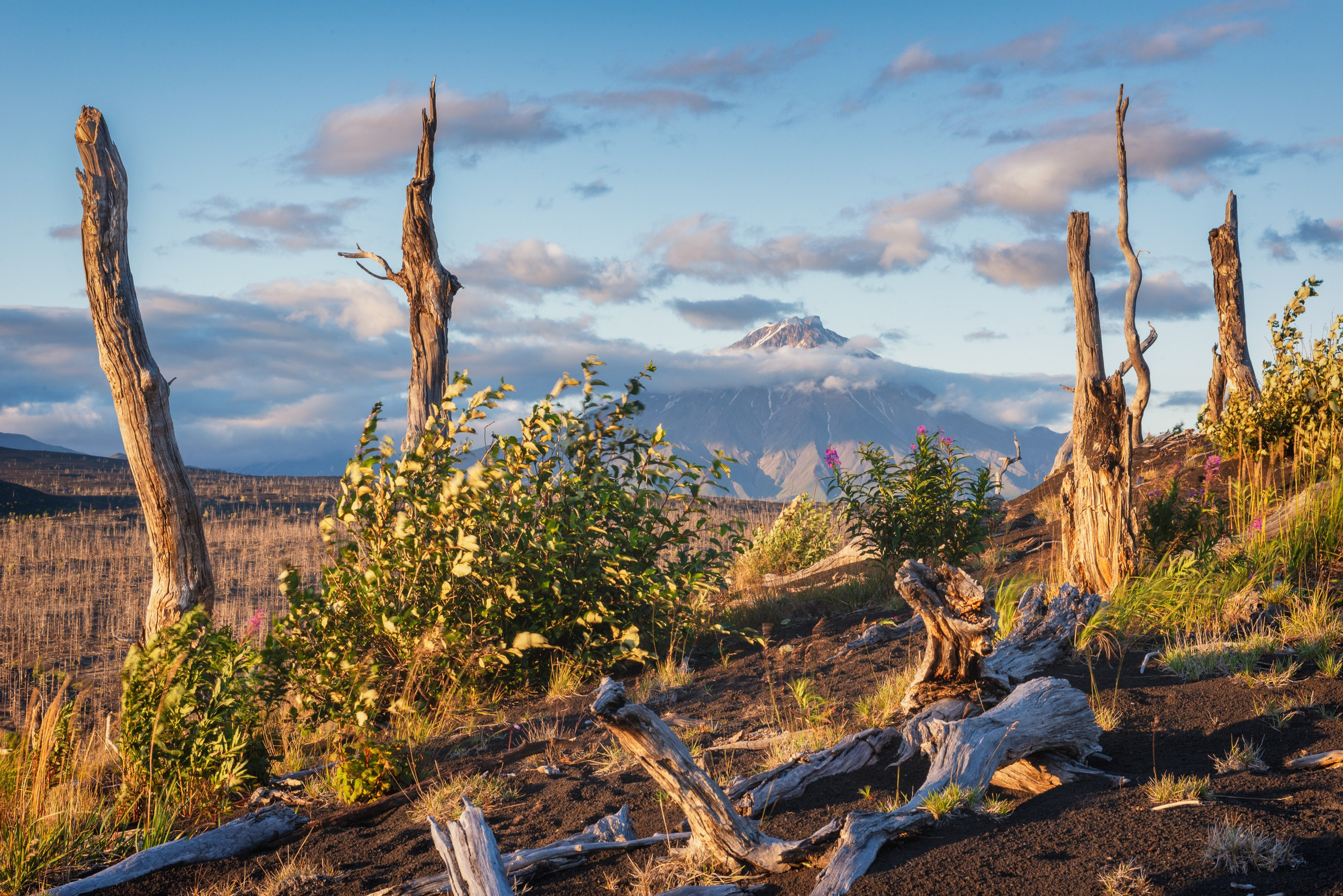 Полезное. Туры и экскурсии на Камчатку