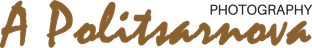 politsarnova-foto.wfolio.pro