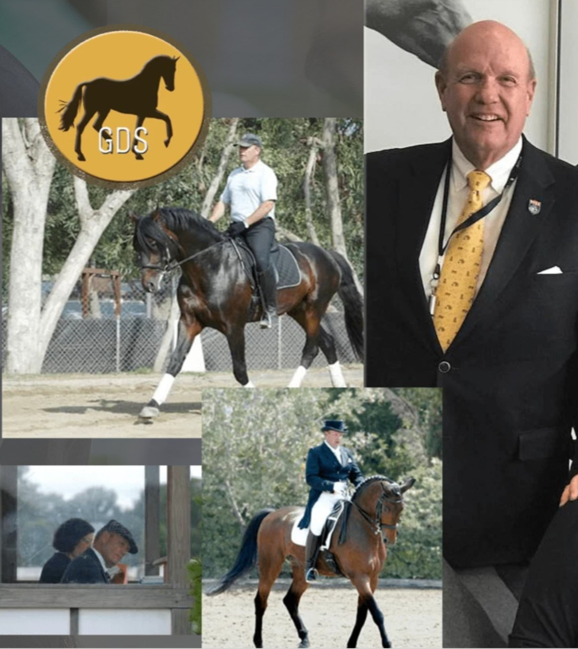 How to buy a horse. Liana Antanovich | Equestrian Strategies