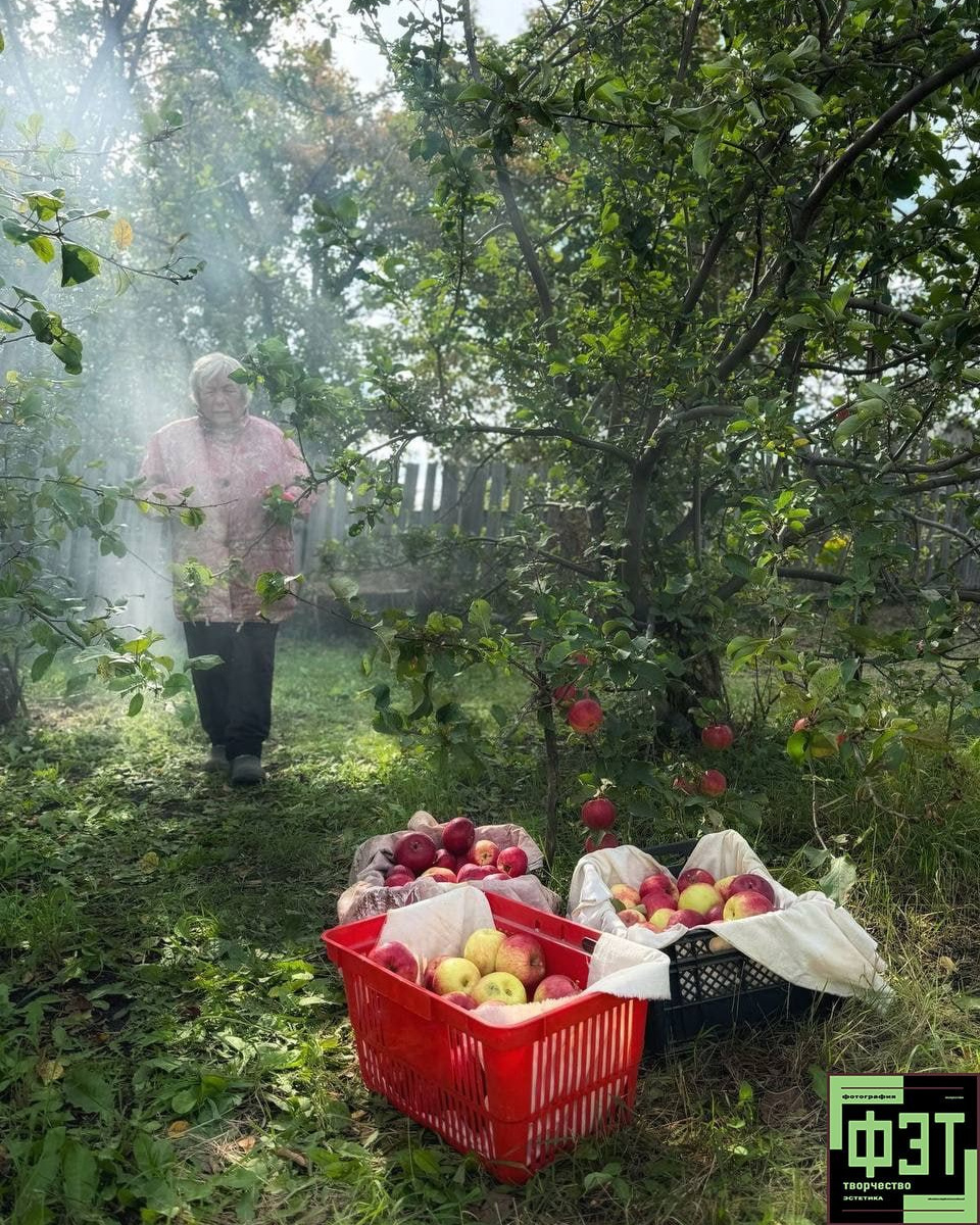 ФЭТ: Фотография Эстетика Творчество. 26.10.2025. Наталья Жукова. Курсы фотографии