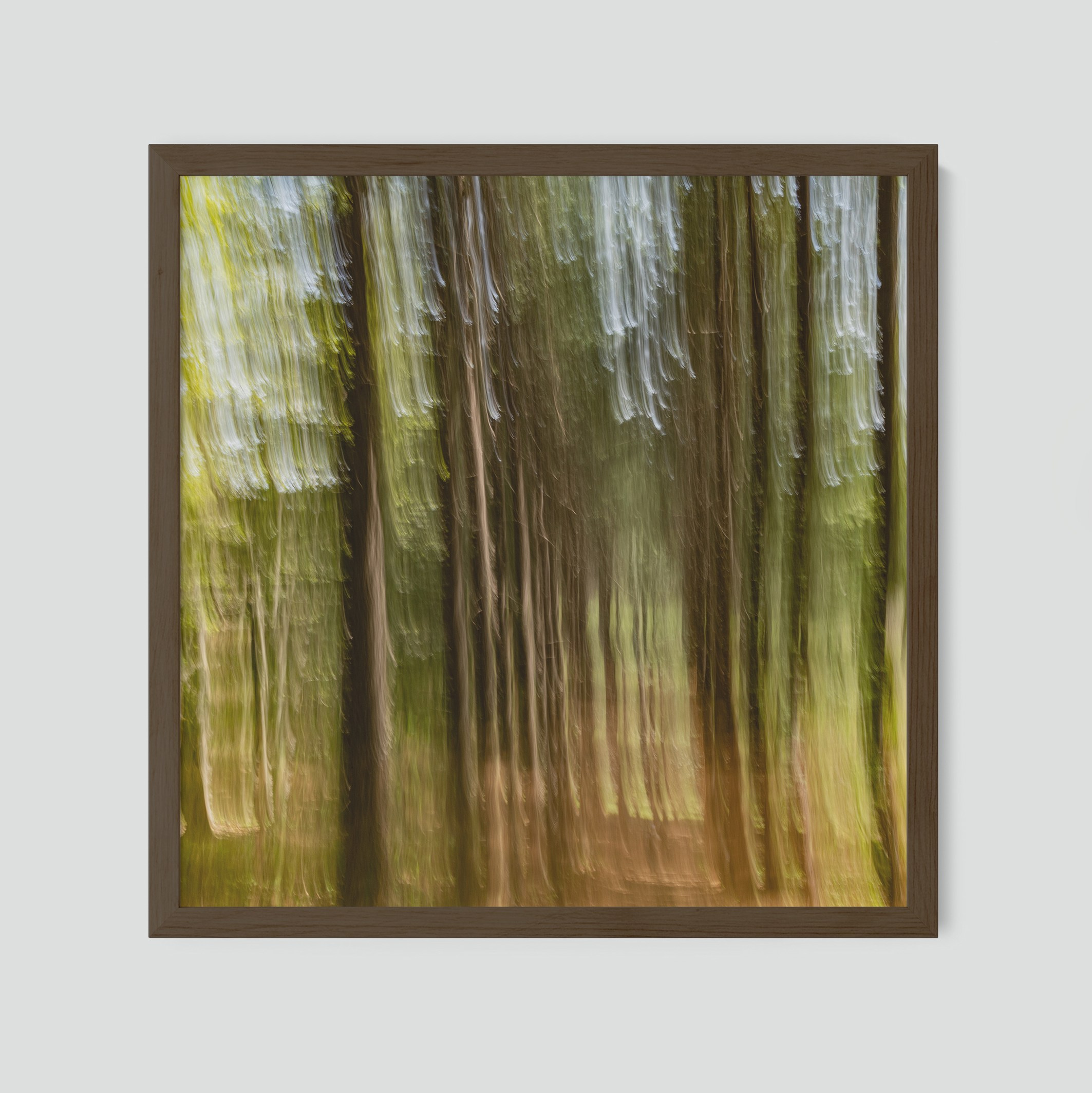 Абстрактная картина в интерьер. Лесной пейзаж. Арт-фотограф. Фотосъемка, авторские принты для интерьера