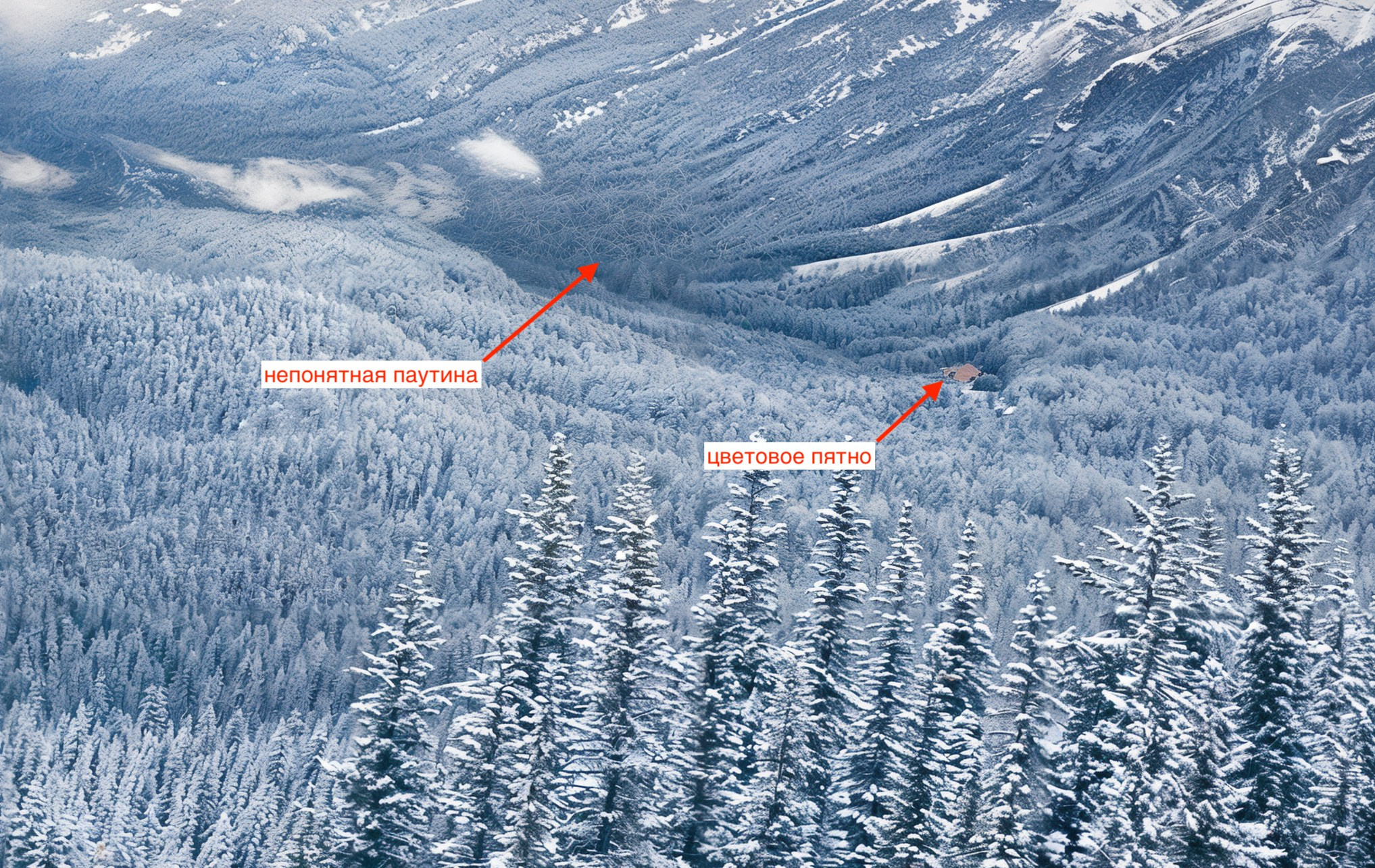 Увеличение фотографии с помощью нейросетей. Часть 2. Фотограф Константин Шамин