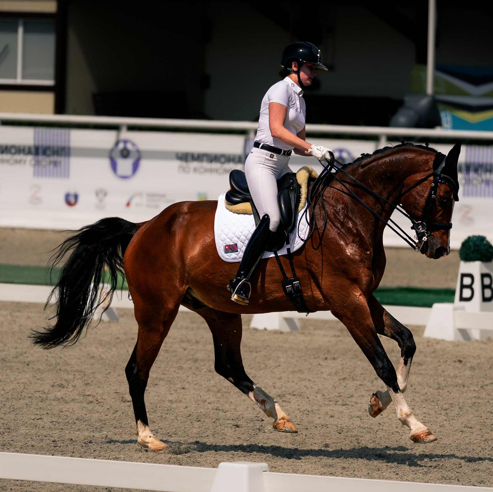 Спортсменка на лошади на соревнованиях по выездке — спортивная фотосъёмка TrendFrame. Съёмка момента из чемпионата по конному спорту. Демонстрация того, как премиальное фото и видео передают энергию и эстетику спортивного события.