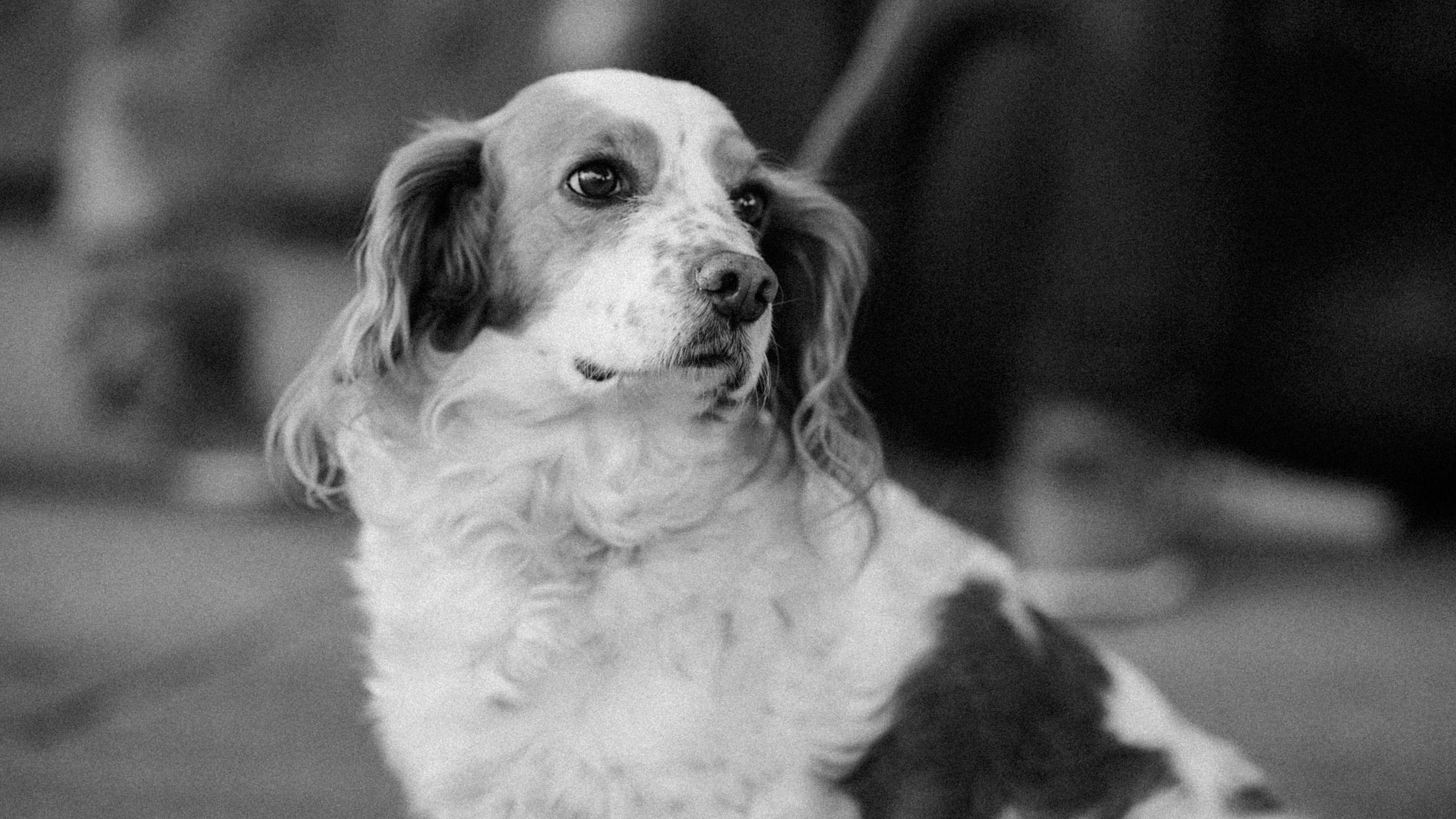 ABOUT. Photographer Yudakova Daria