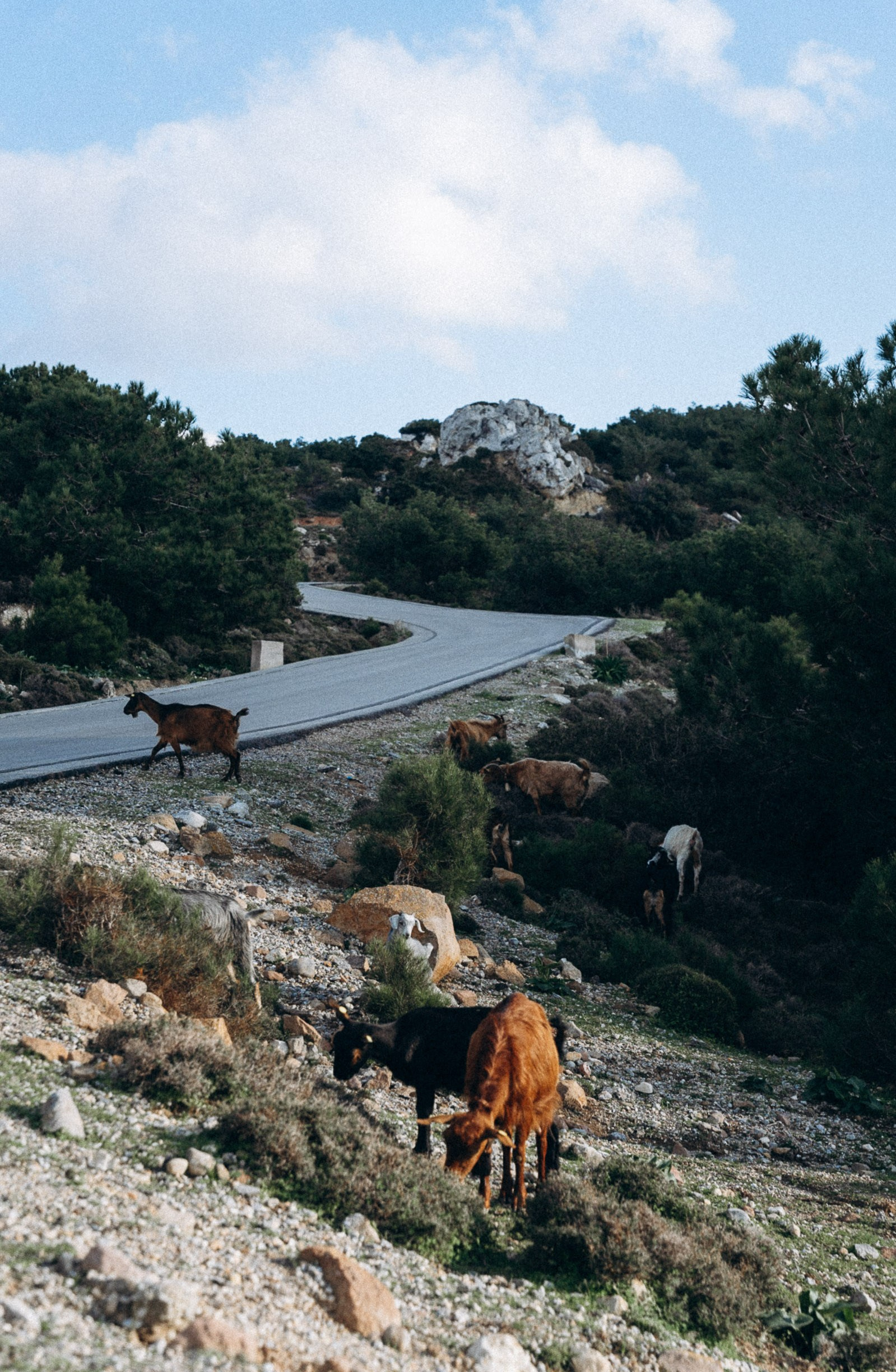 Кефалос, Кос 🇬🇷. Anita_photo