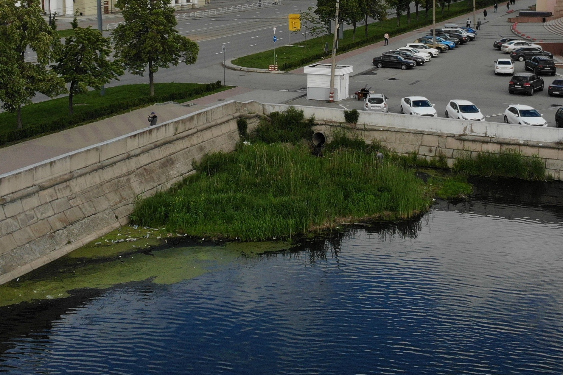 Projects. Artist Oleg Semenovykh