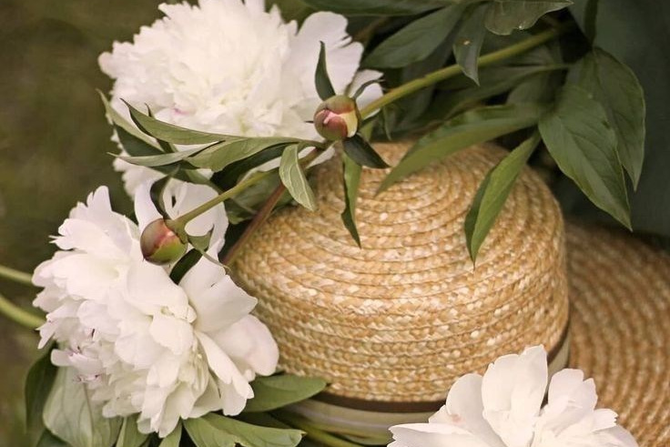 НАПИСАТЬ В ПРАВЛЕНИЕ. СНТ «ЭКСКАВАТОР-ФАДИНО»