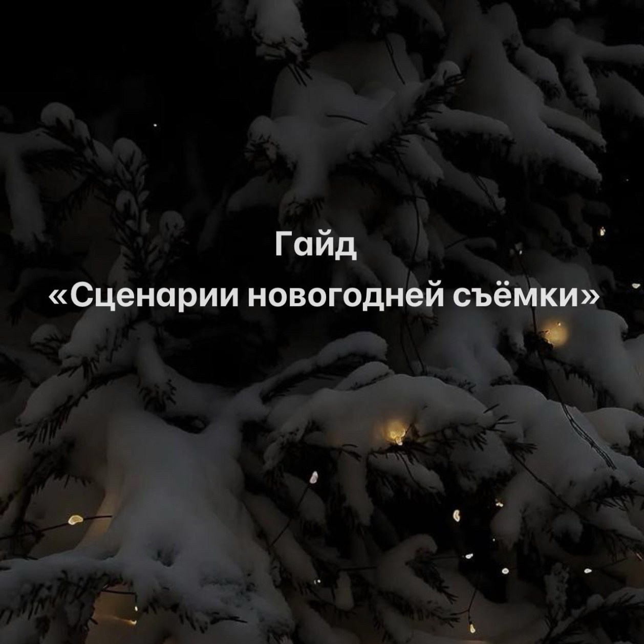 Гайд "Сценарии новогодних съёмок", Сценарии новогодних фотоисторий, лайфхаки для семейных съёмок, семейных фотосессий. Семейная новогодняя фотосессия