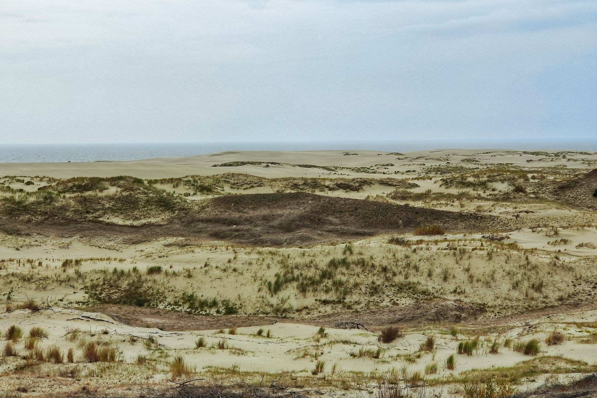 Широкий пейзаж песчаных дюн с редкой растительностью на фоне серого неба и далёкой линии моря на горизонте