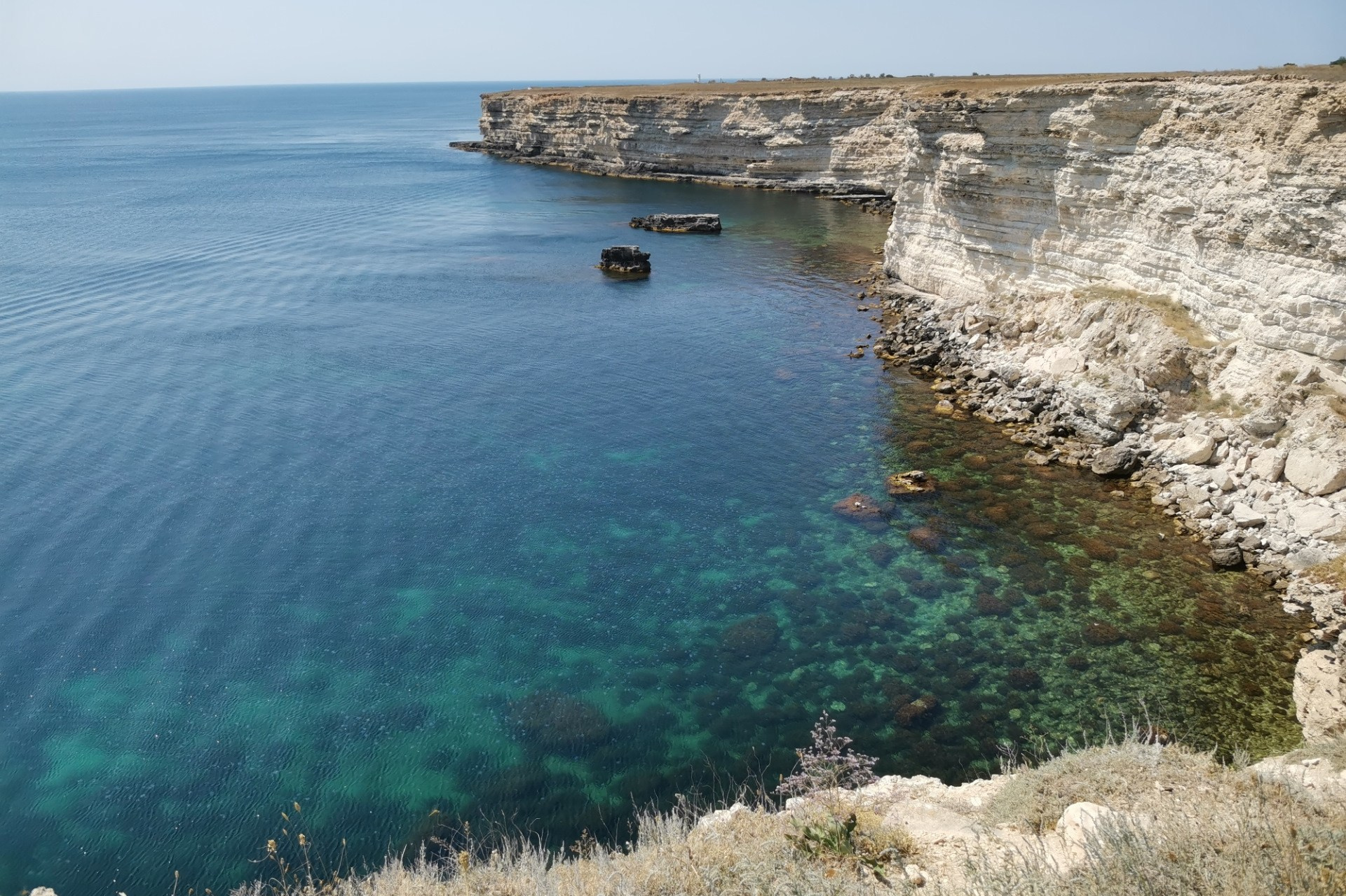 Тарханкут. Инвестиционное агентство недвижимости