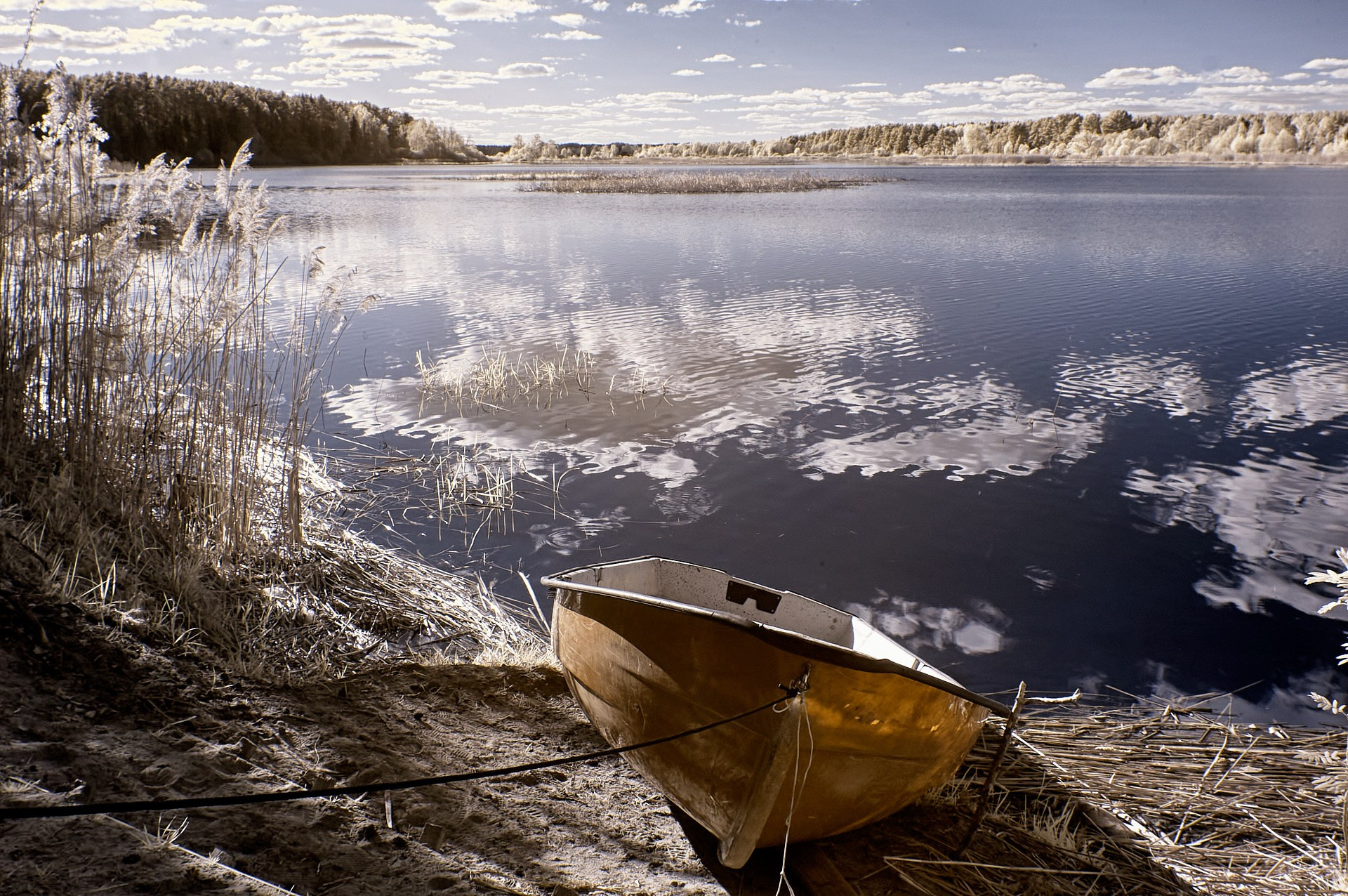 Наследие. Olitron Legacy