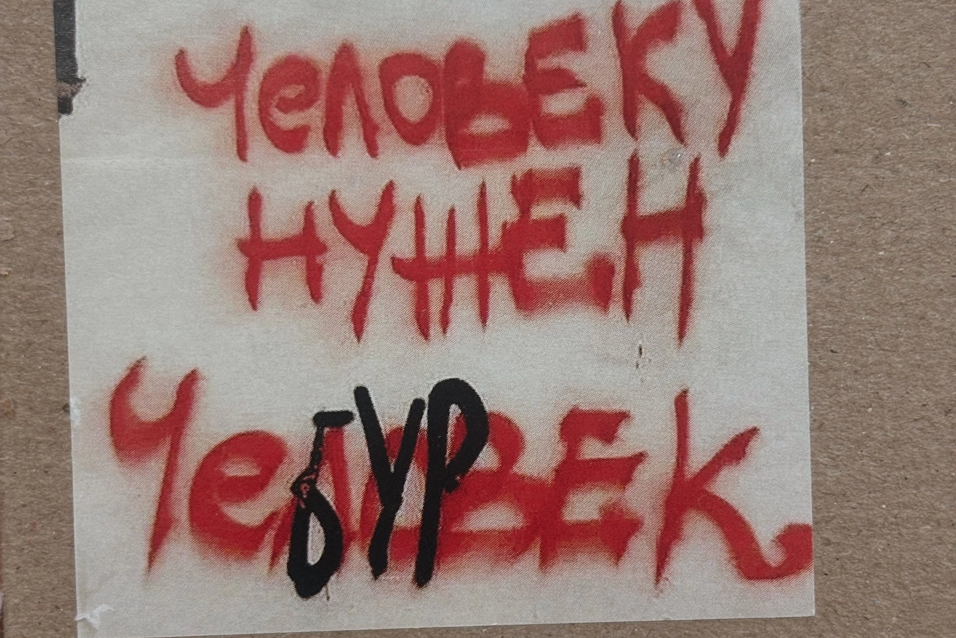 Классные уроки. «Книжка с картинками» Фотограф Наталья Цыбина