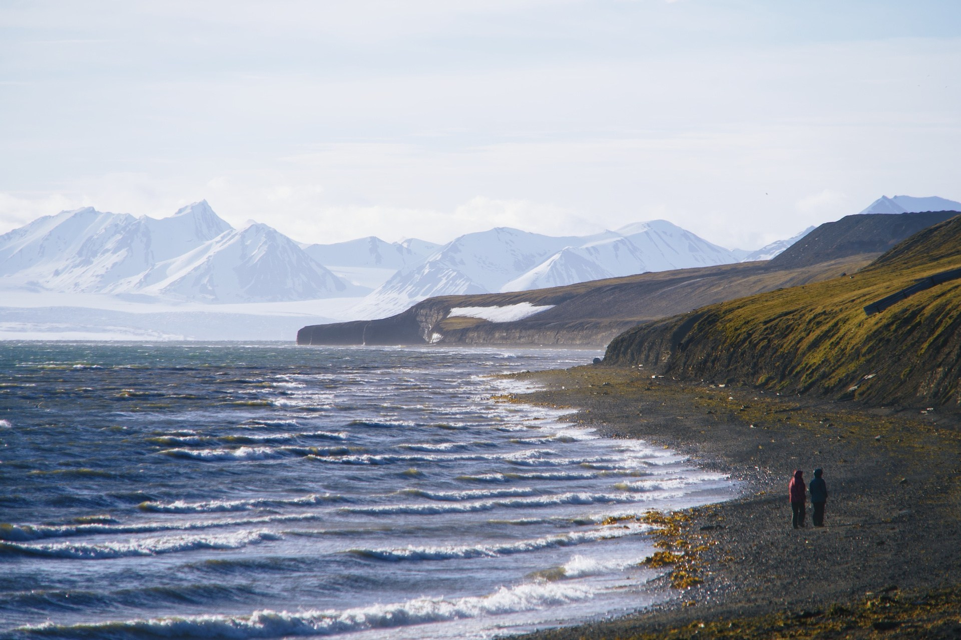 Экспедиция на Шпицберген (07.08.25 — 20.08.25). Фотограф Константин Шамин