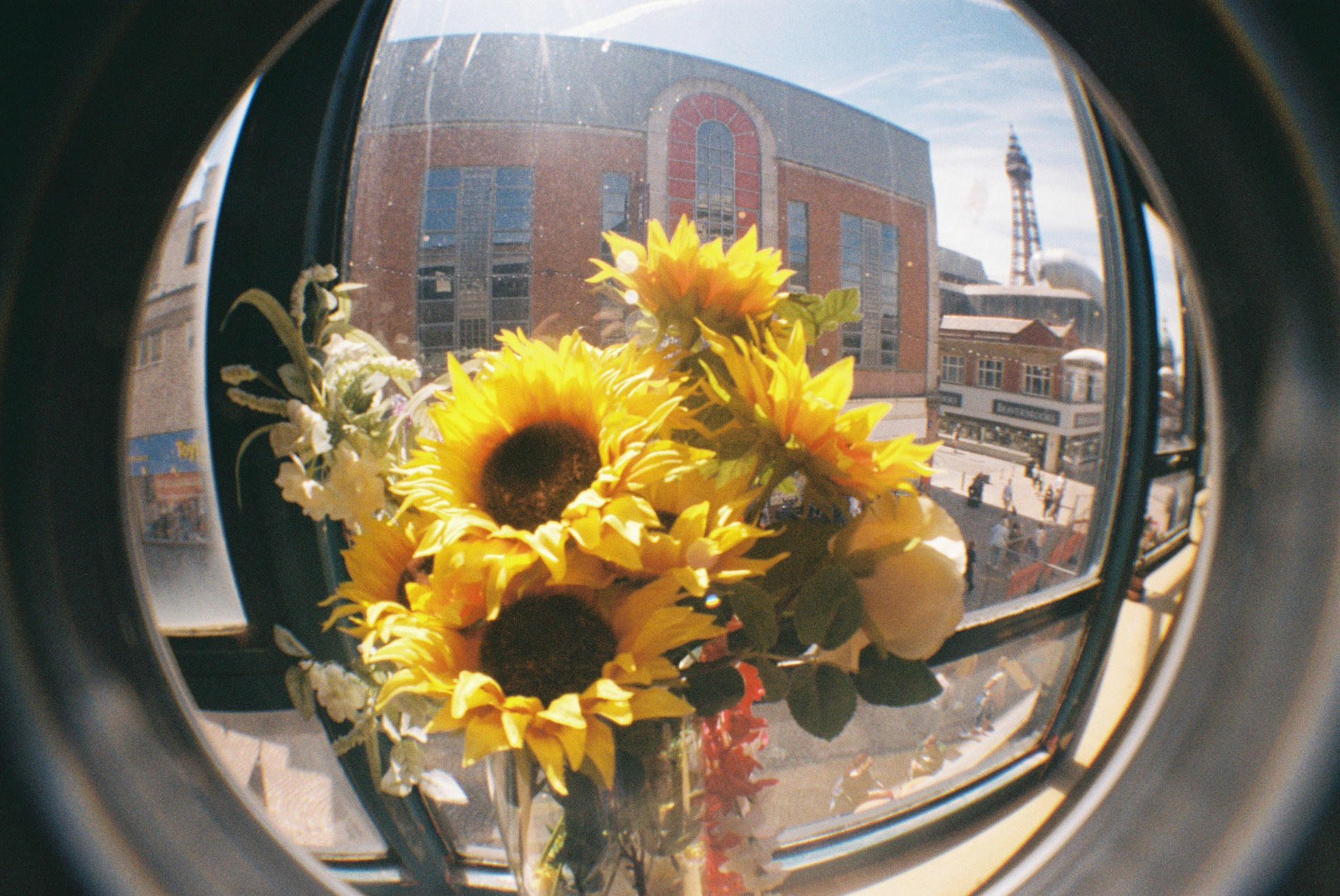 Для пленочной камеры типа «рыбий глаз» Lomography доступен новый цвет. Фотограф — видеограф в Москве Дмитрий Менделеев