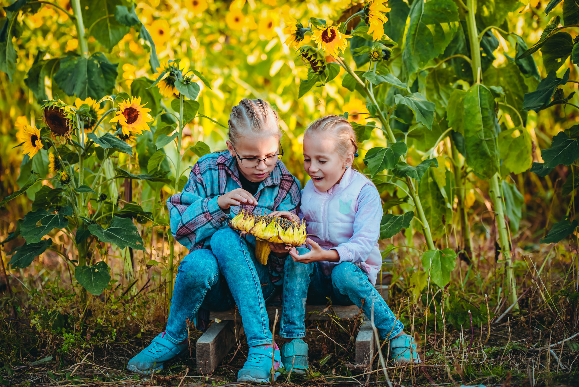 Фотосессия в Иркутске фотопроект в Иркутске Две маленькие девочки смотрят подсолнух в подсолнуховом поле