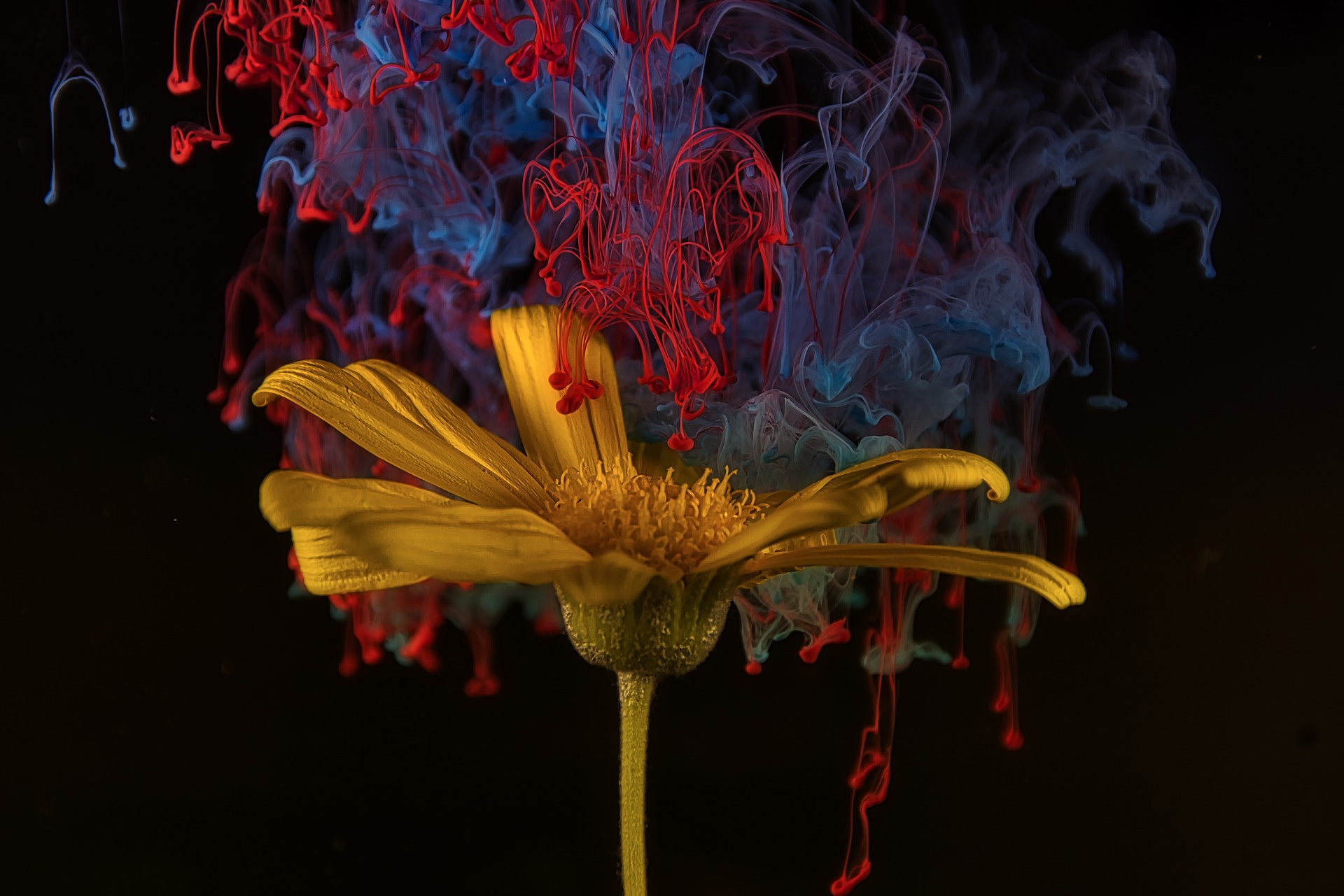 Работа с брендами. Детский и семейный фотограф в Павлодаре Оксана Солей. Школа моделей