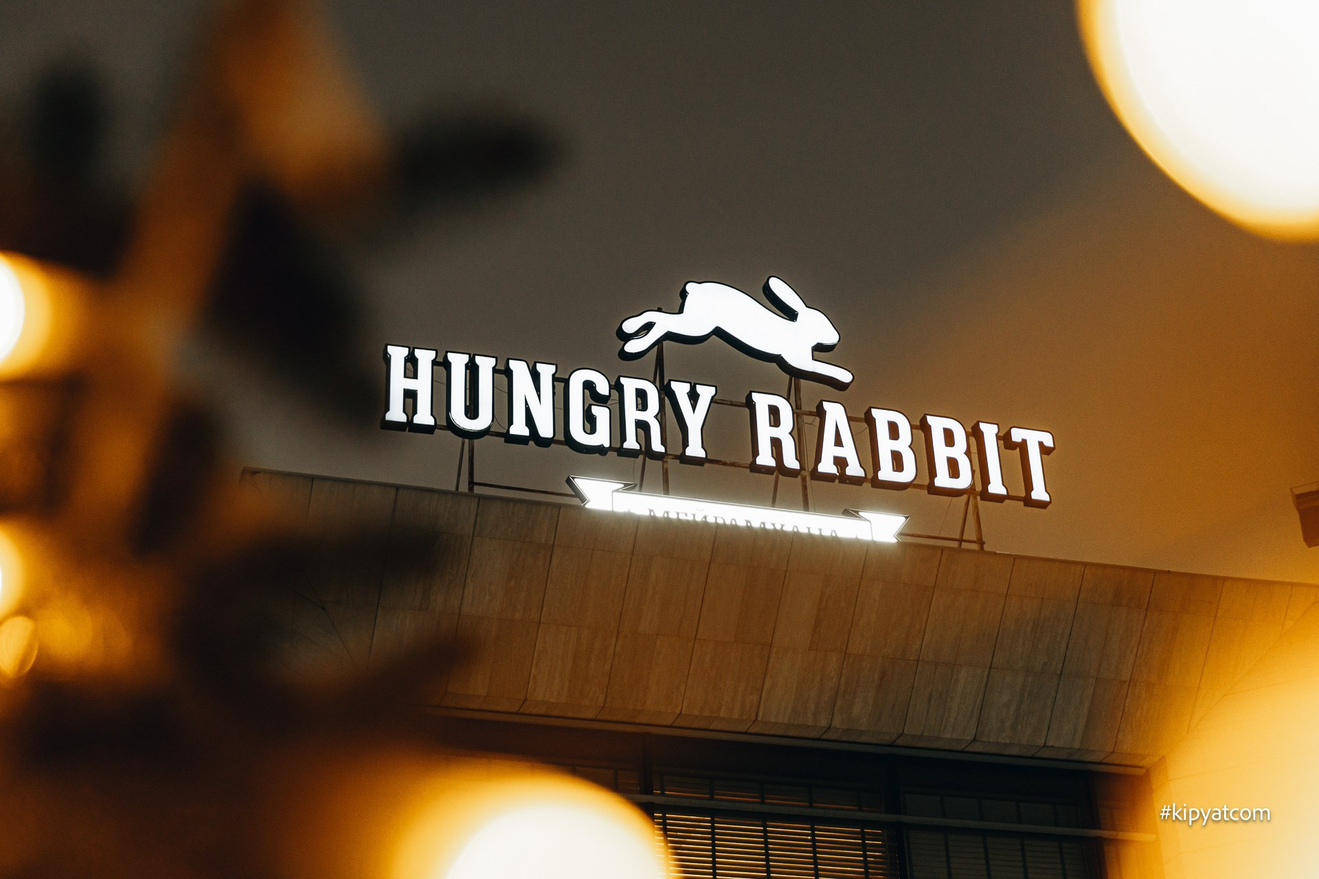 Hungry Rabbit. Астана Кипятком